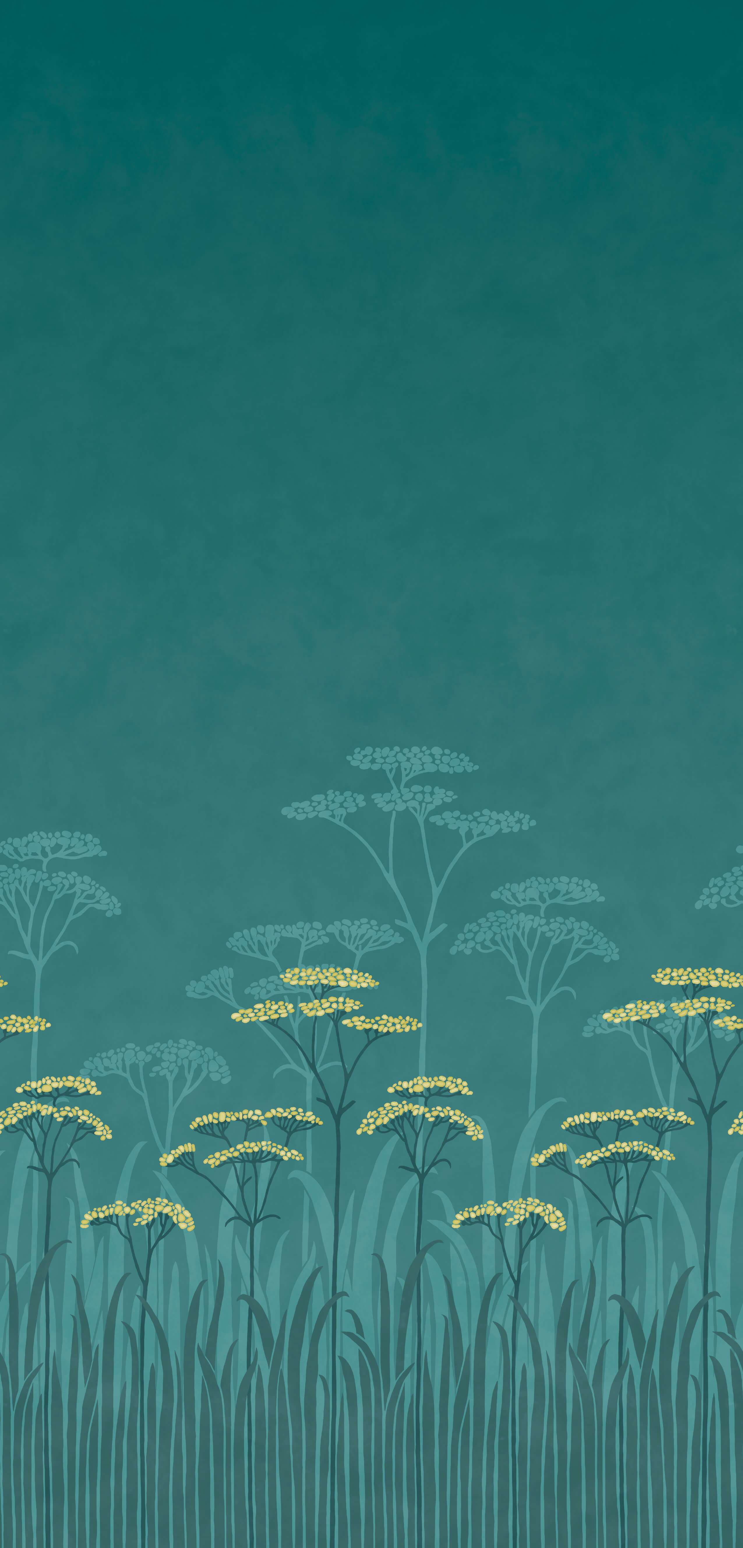 ACHILLEA
