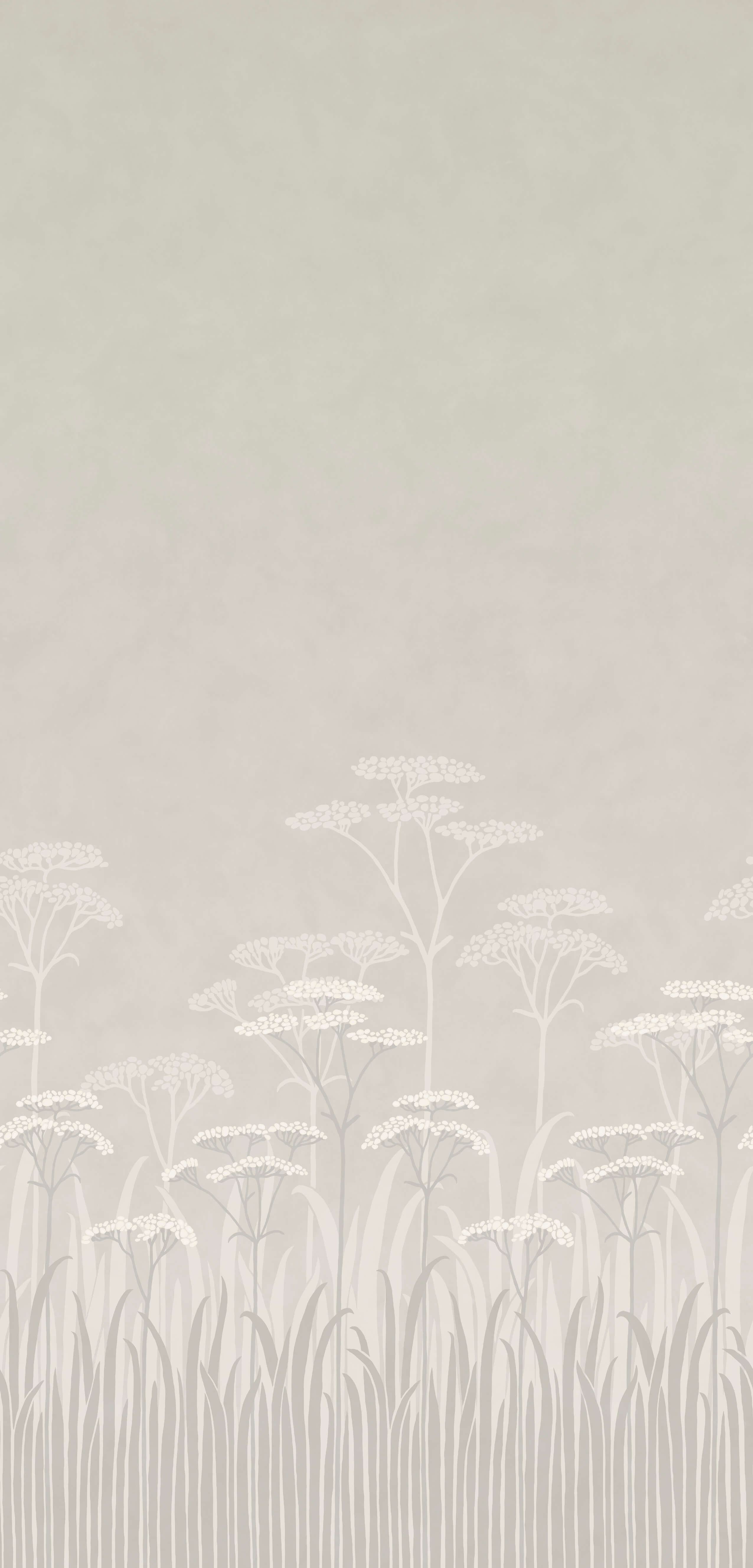 ACHILLEA