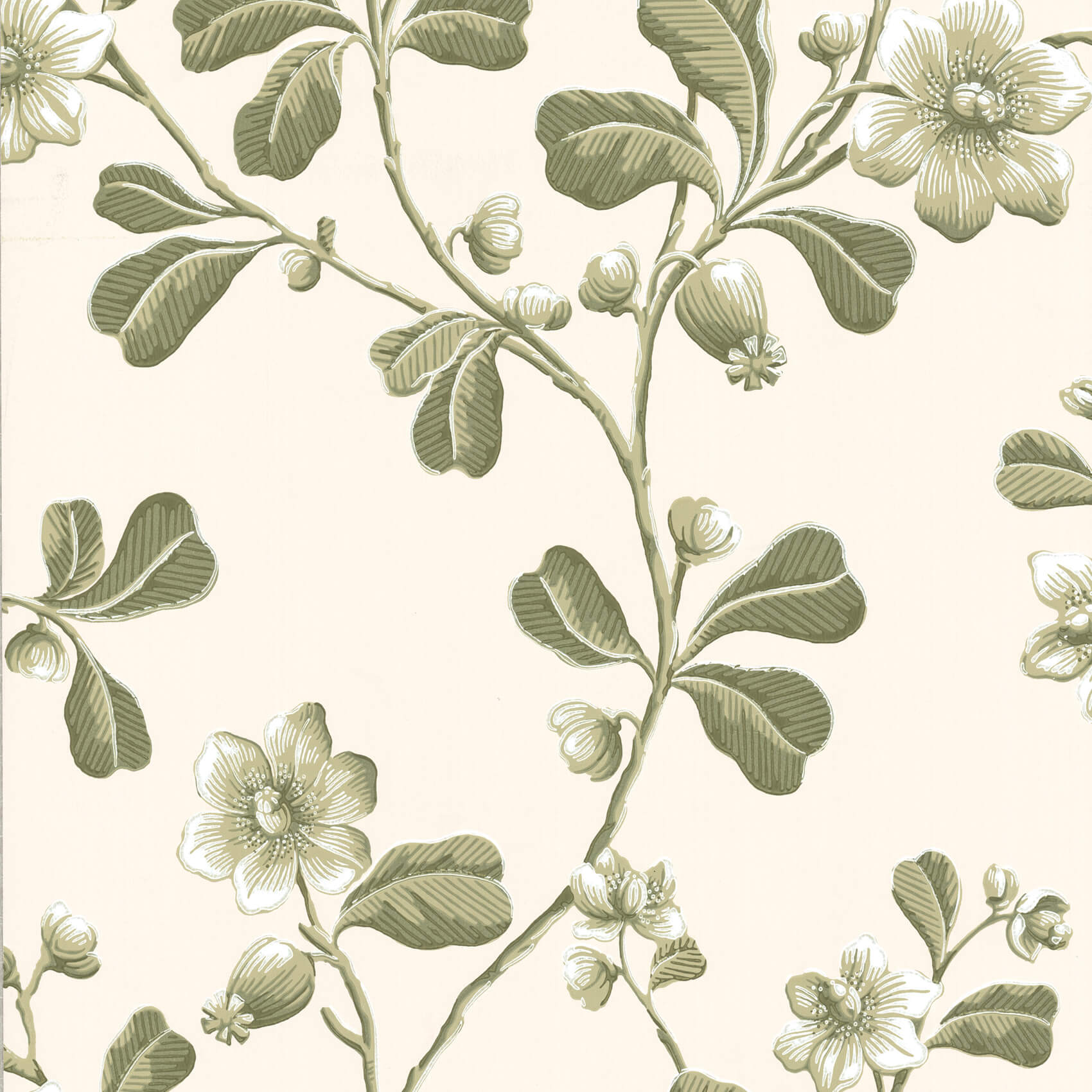 BROADWICK ST.
