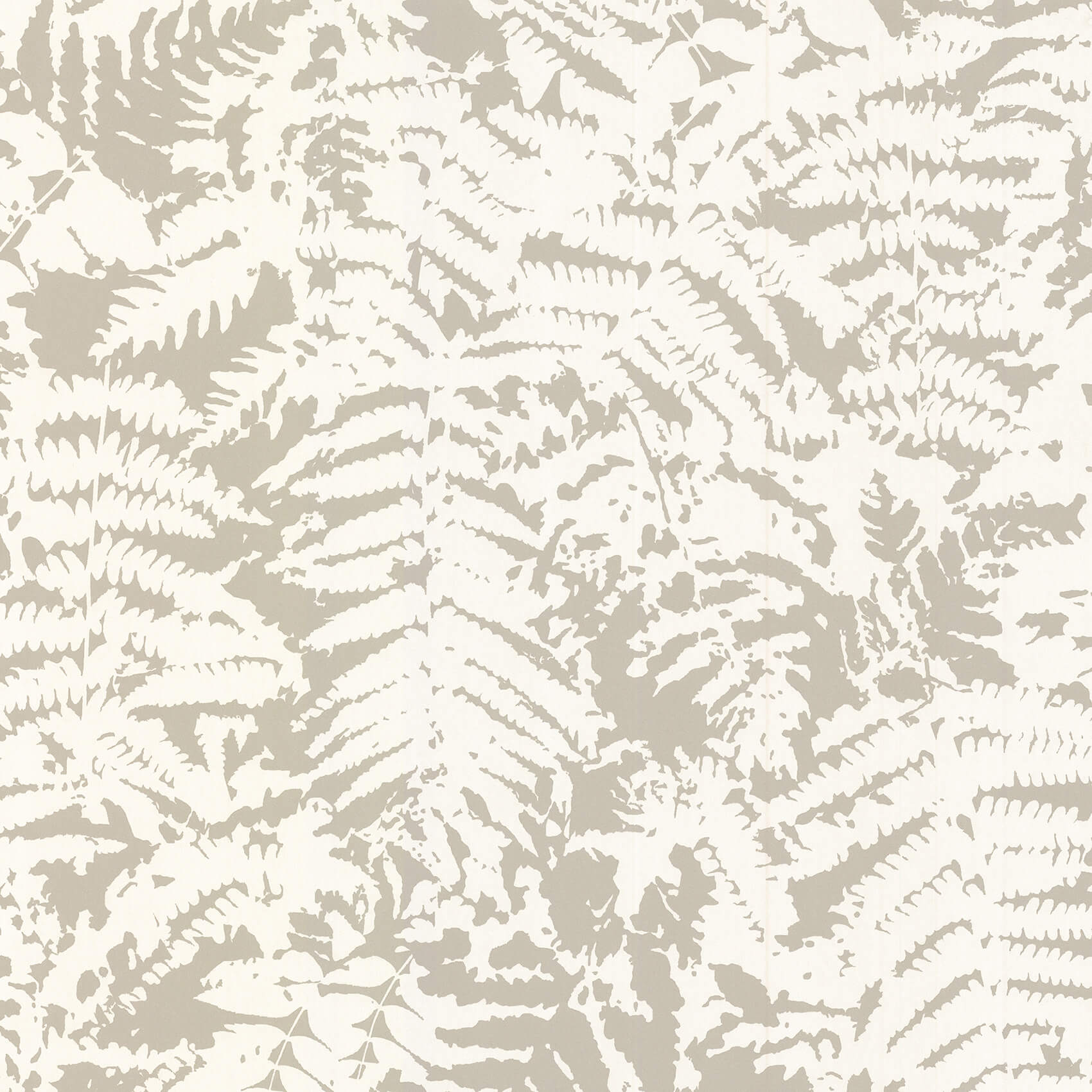 FERN