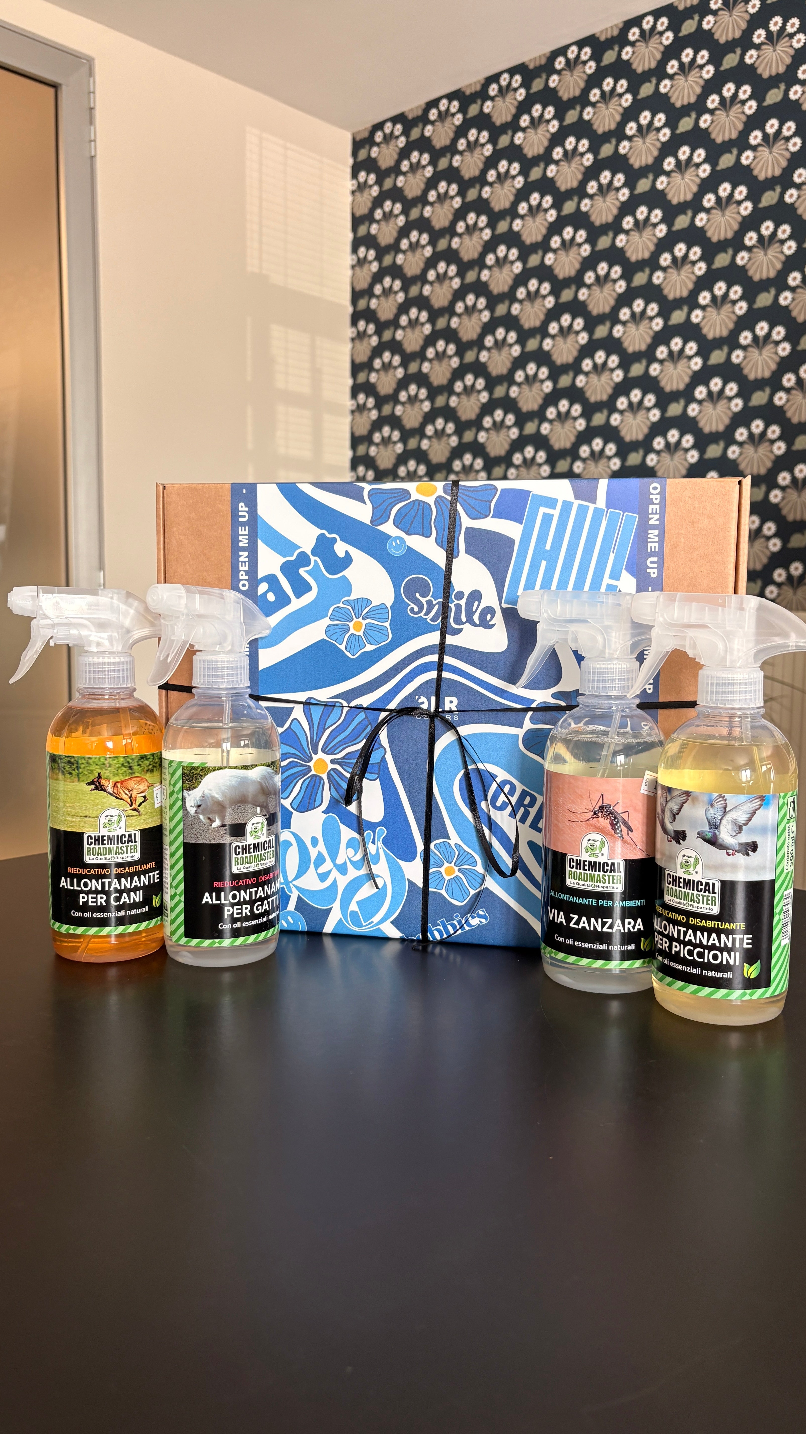 SET REGALO