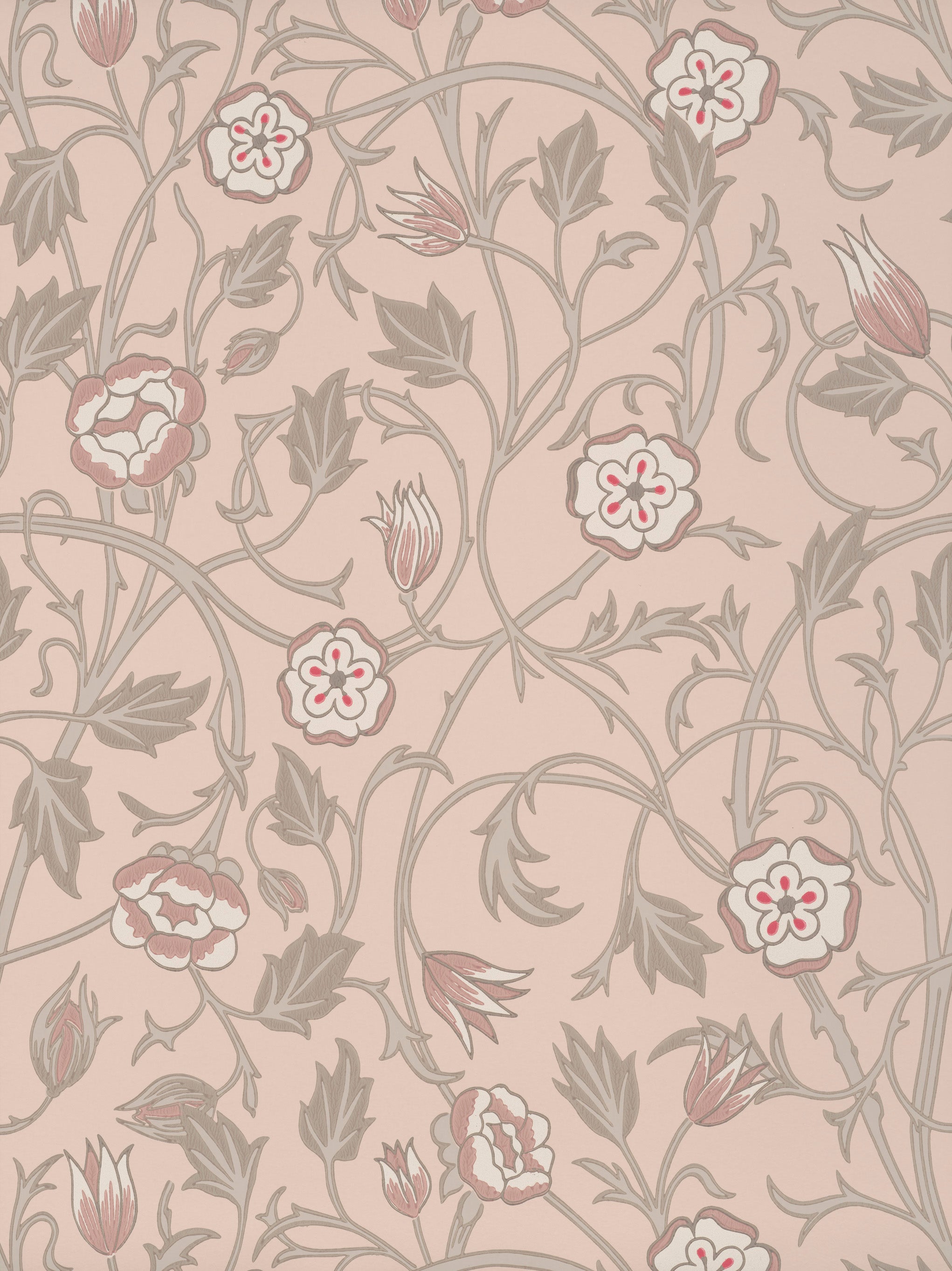 MAY'S TULIP