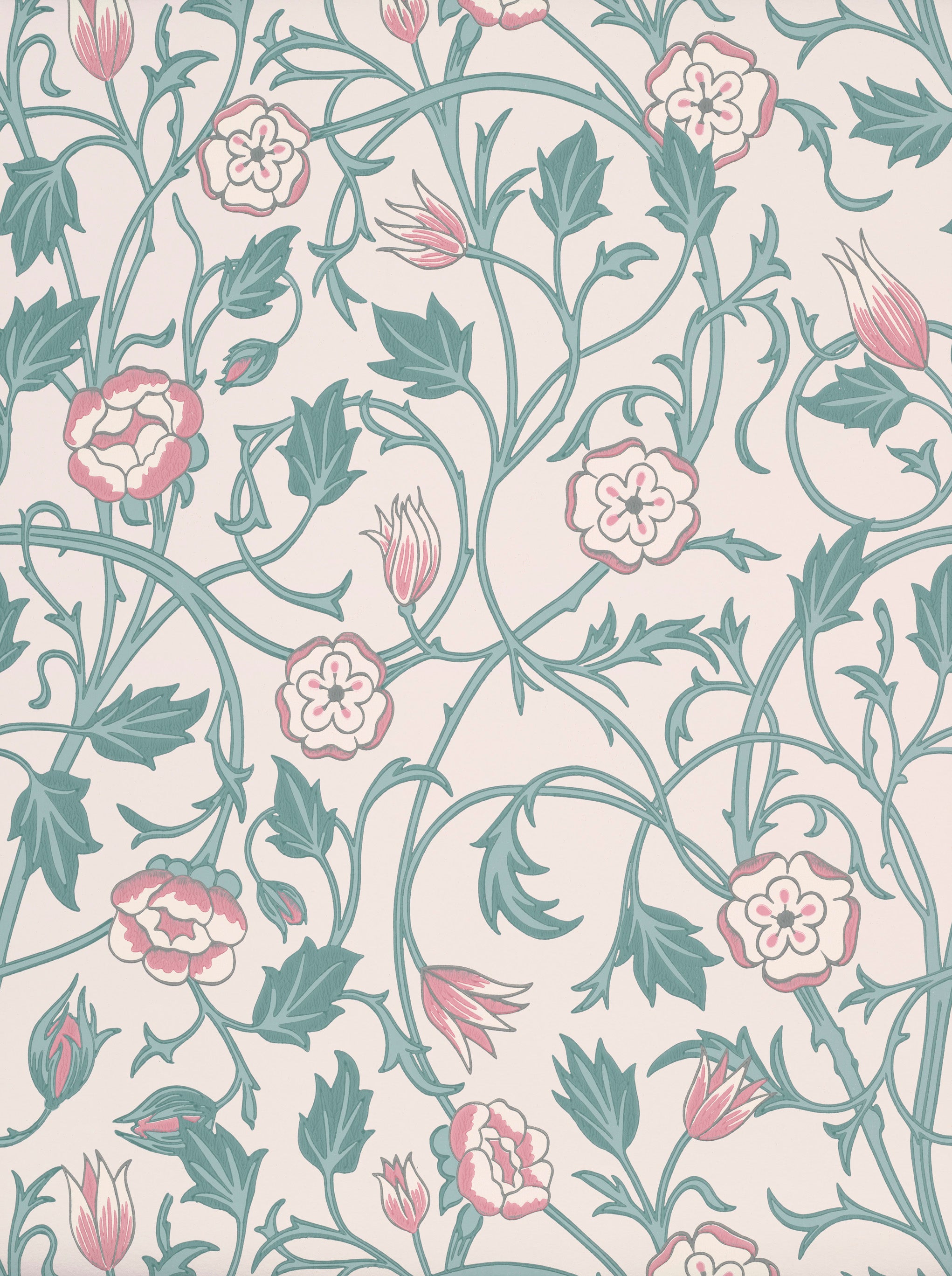 MAY'S TULIP