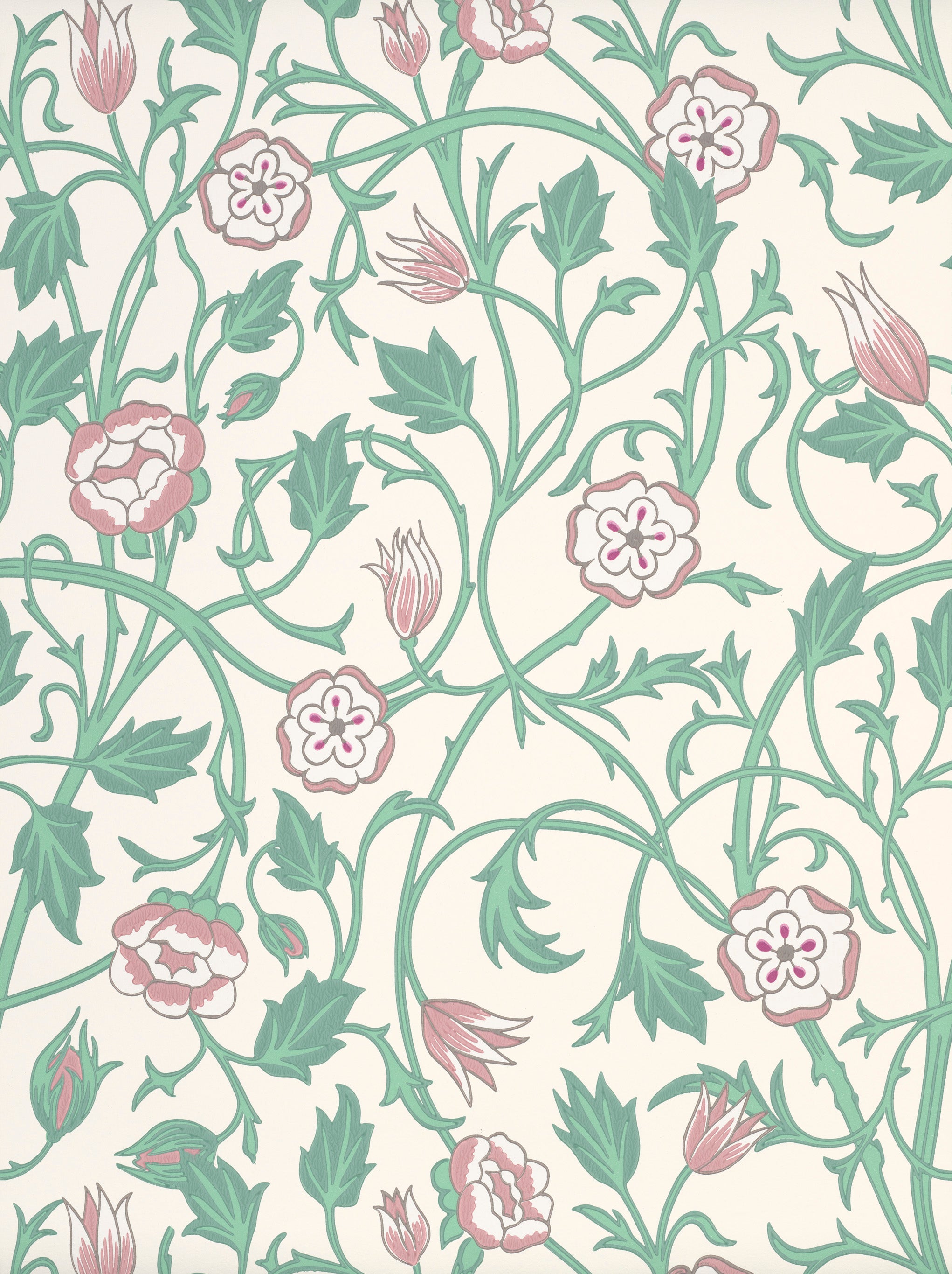 MAY'S TULIP