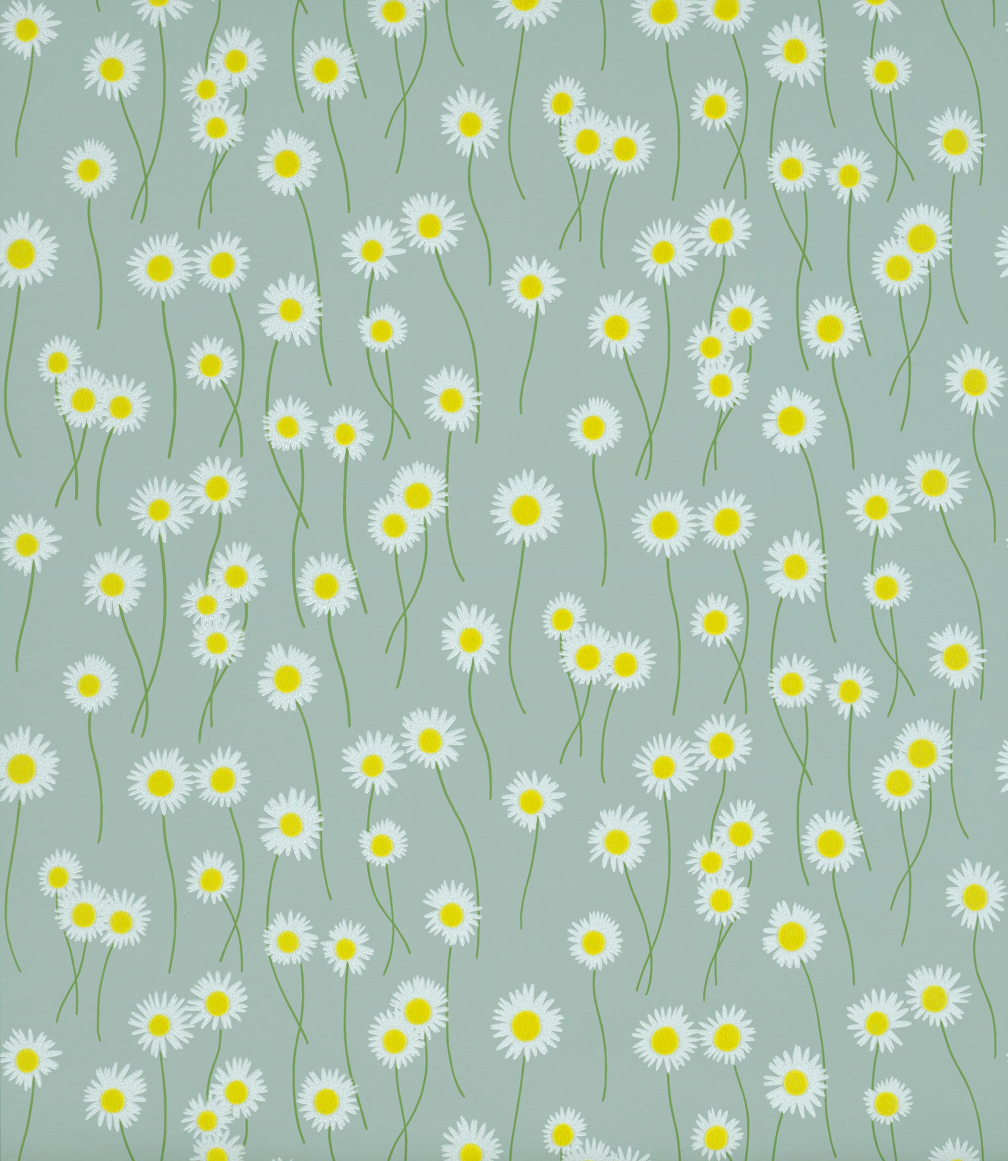 MOON DAISIES