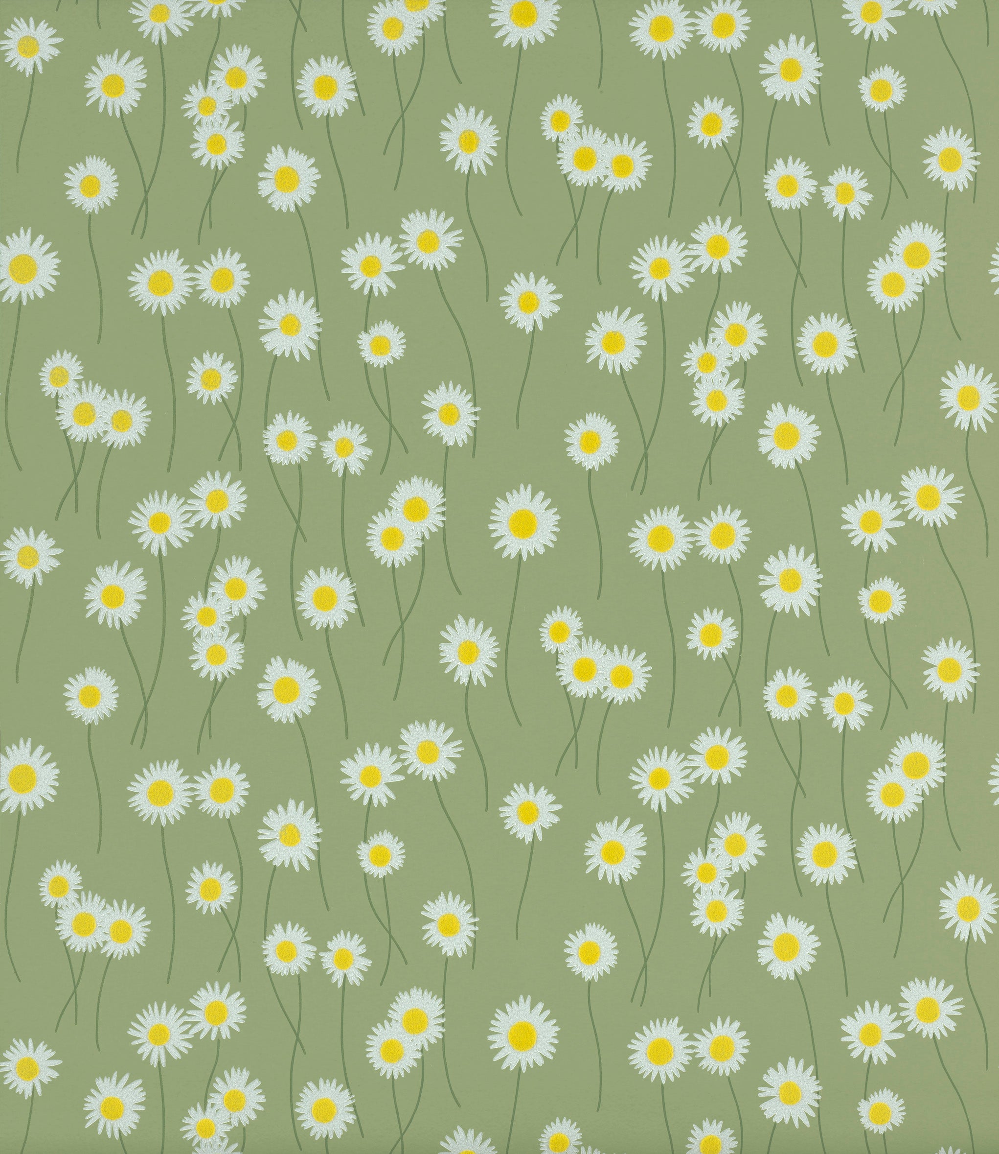 MOON DAISIES