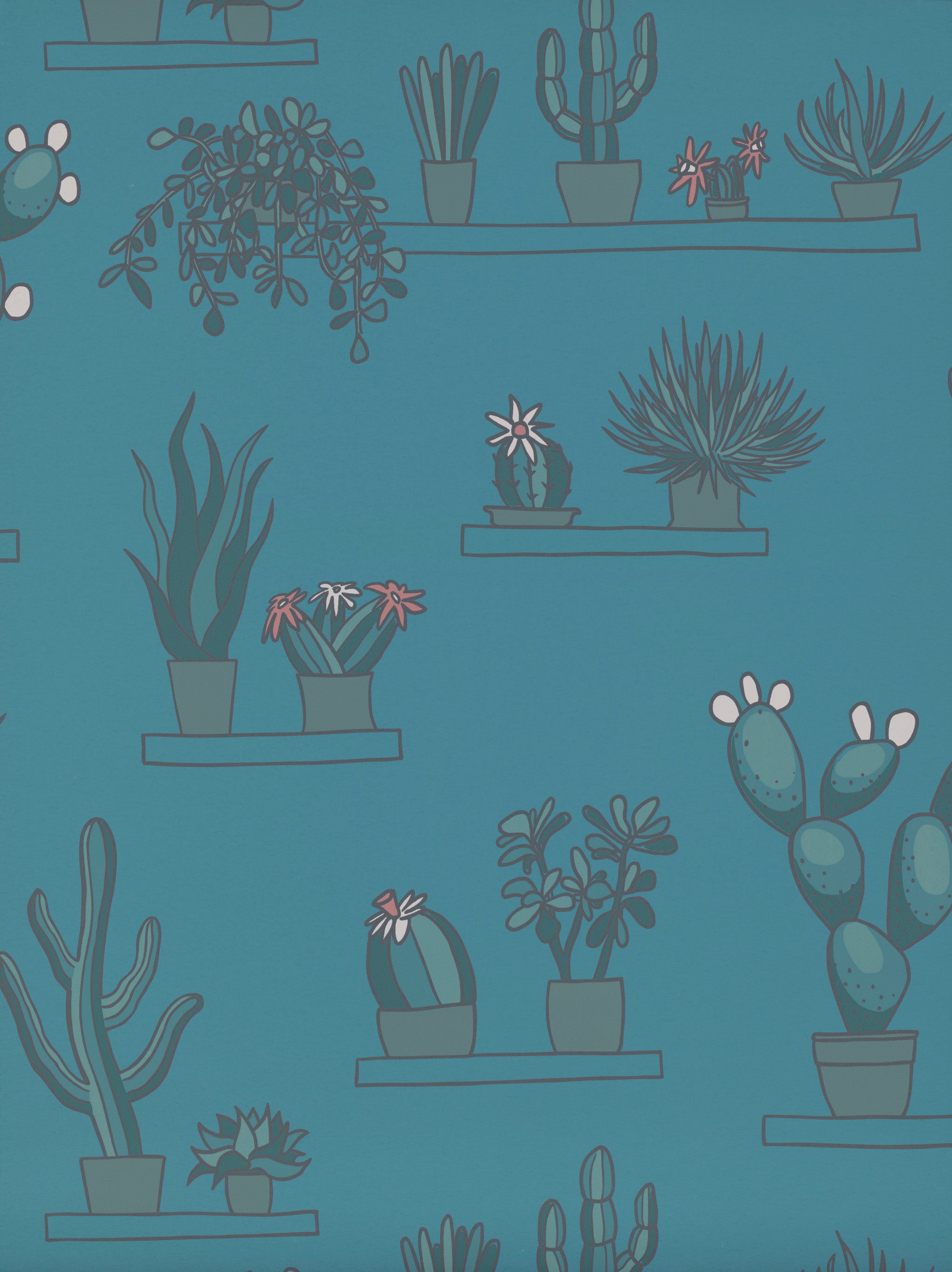 MR STRAW'S GREENHOUSE
