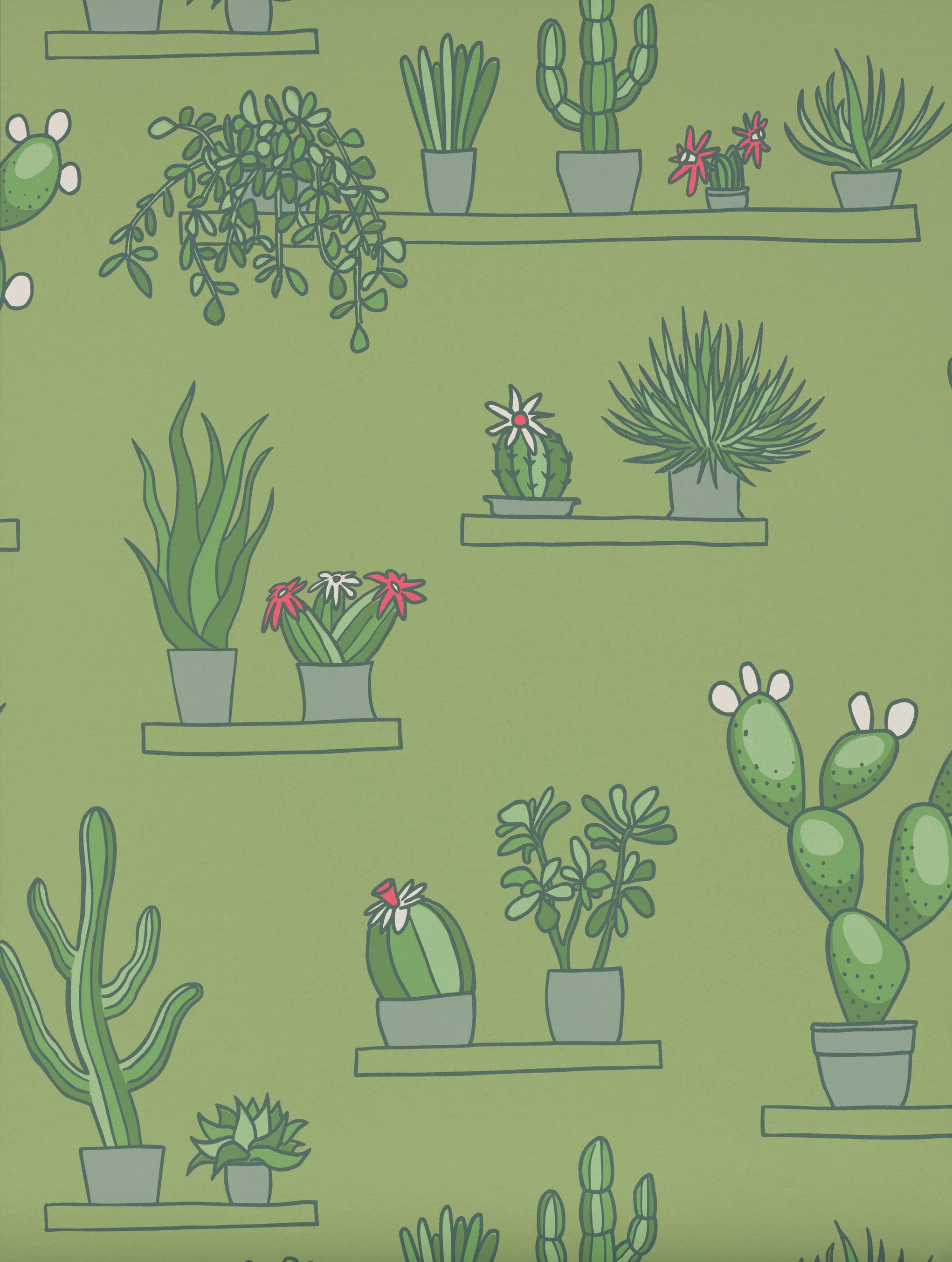 MR STRAW'S GREENHOUSE