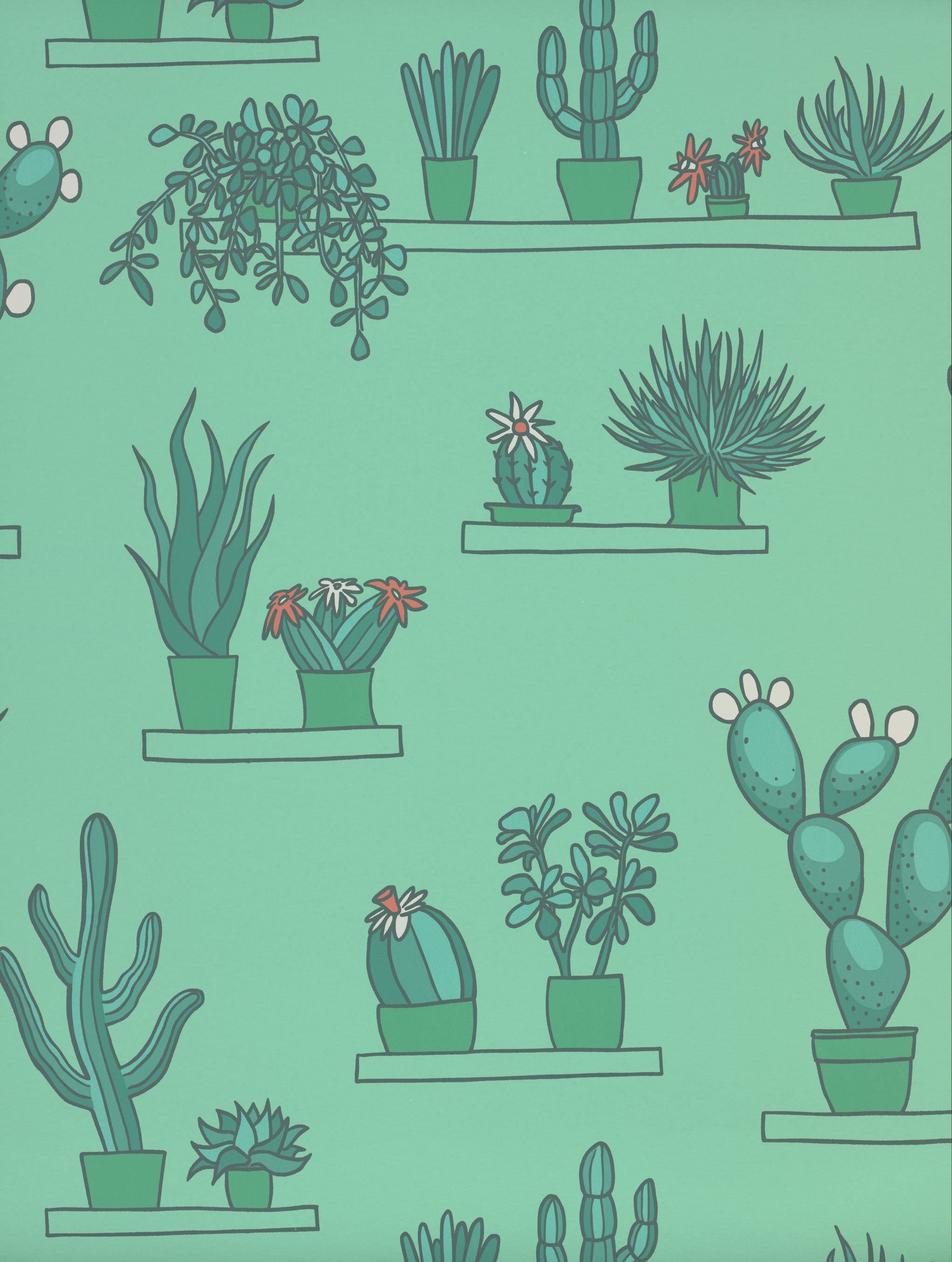 MR STRAW'S GREENHOUSE