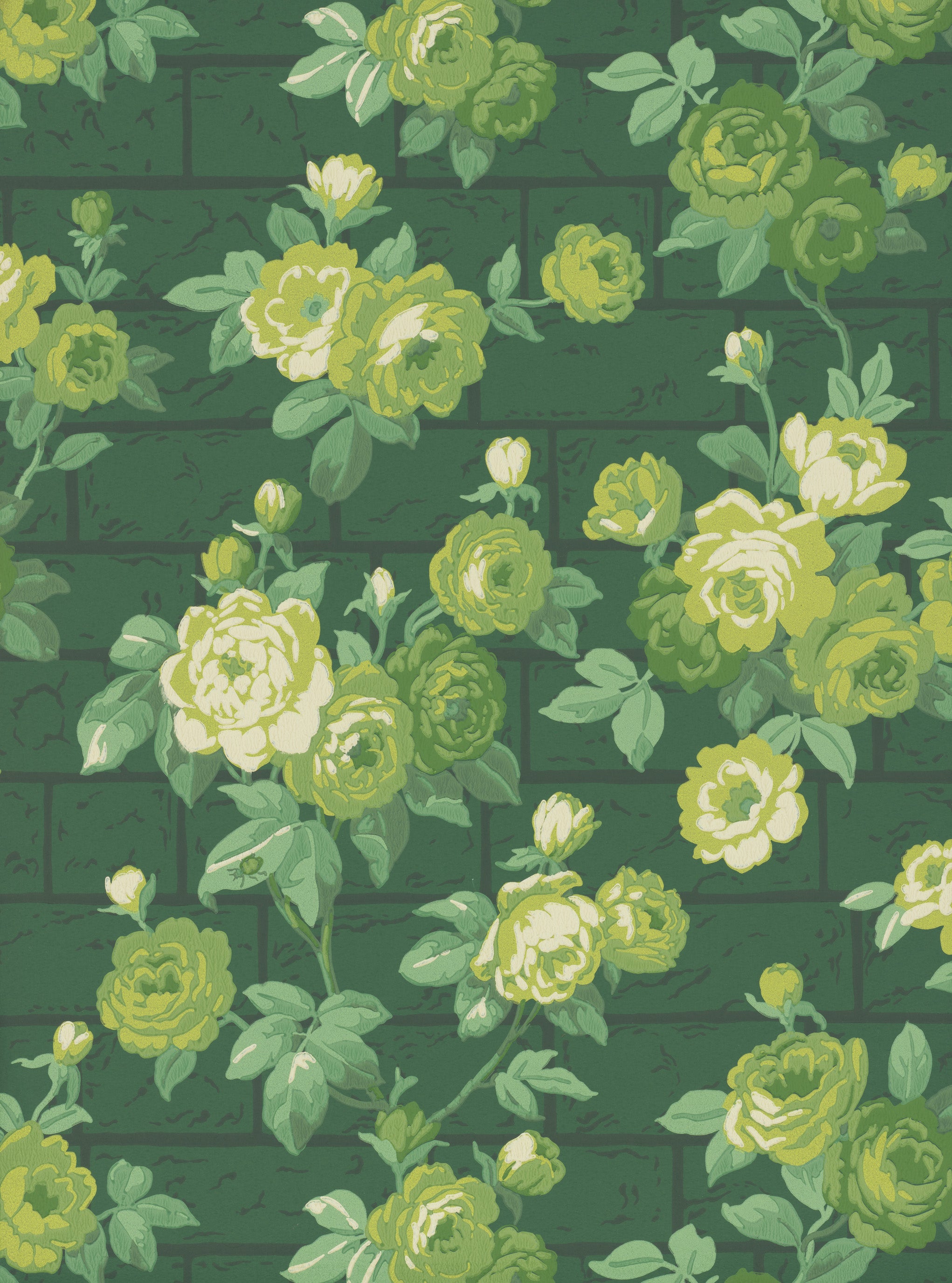 ROSE GARDEN
