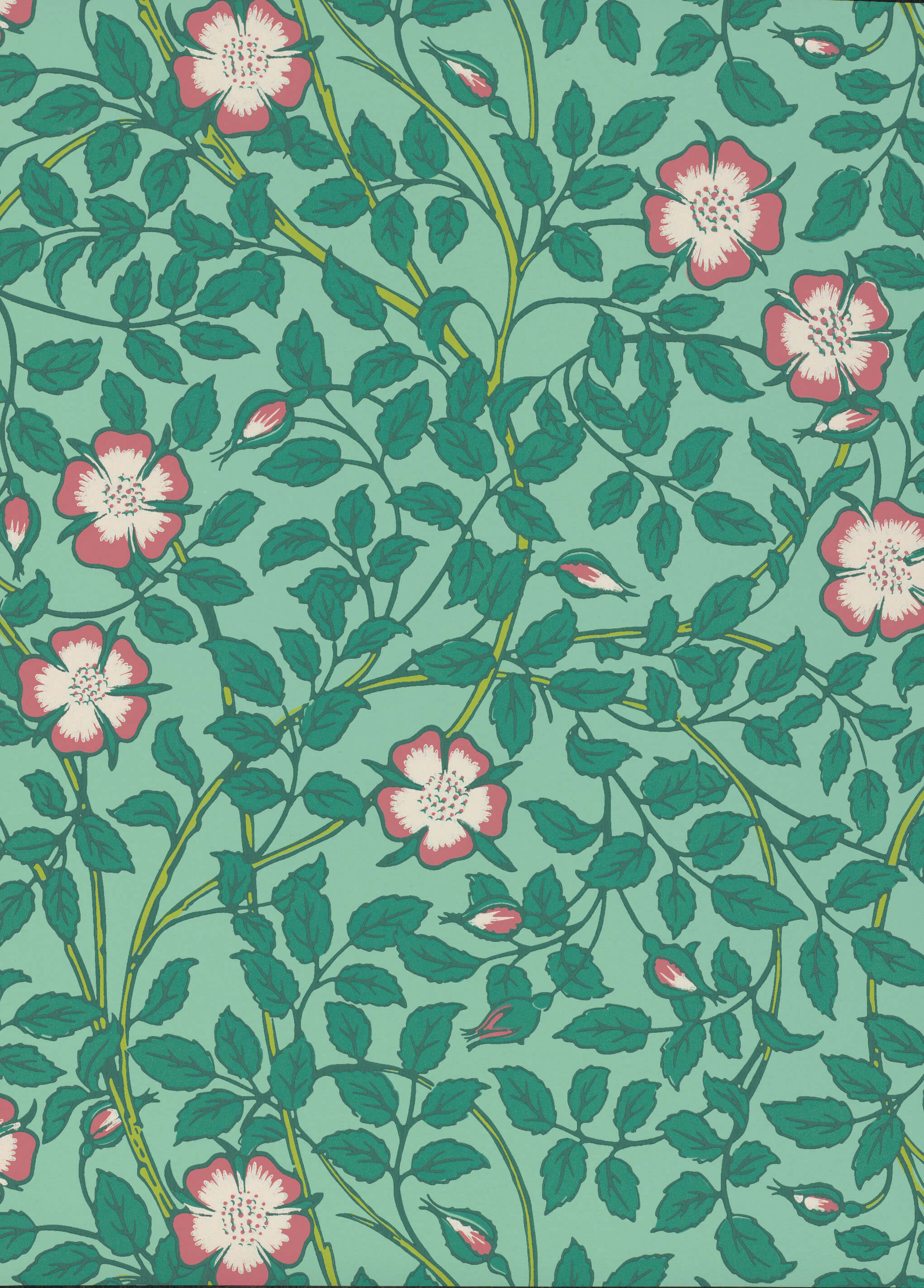 BRIAR ROSE