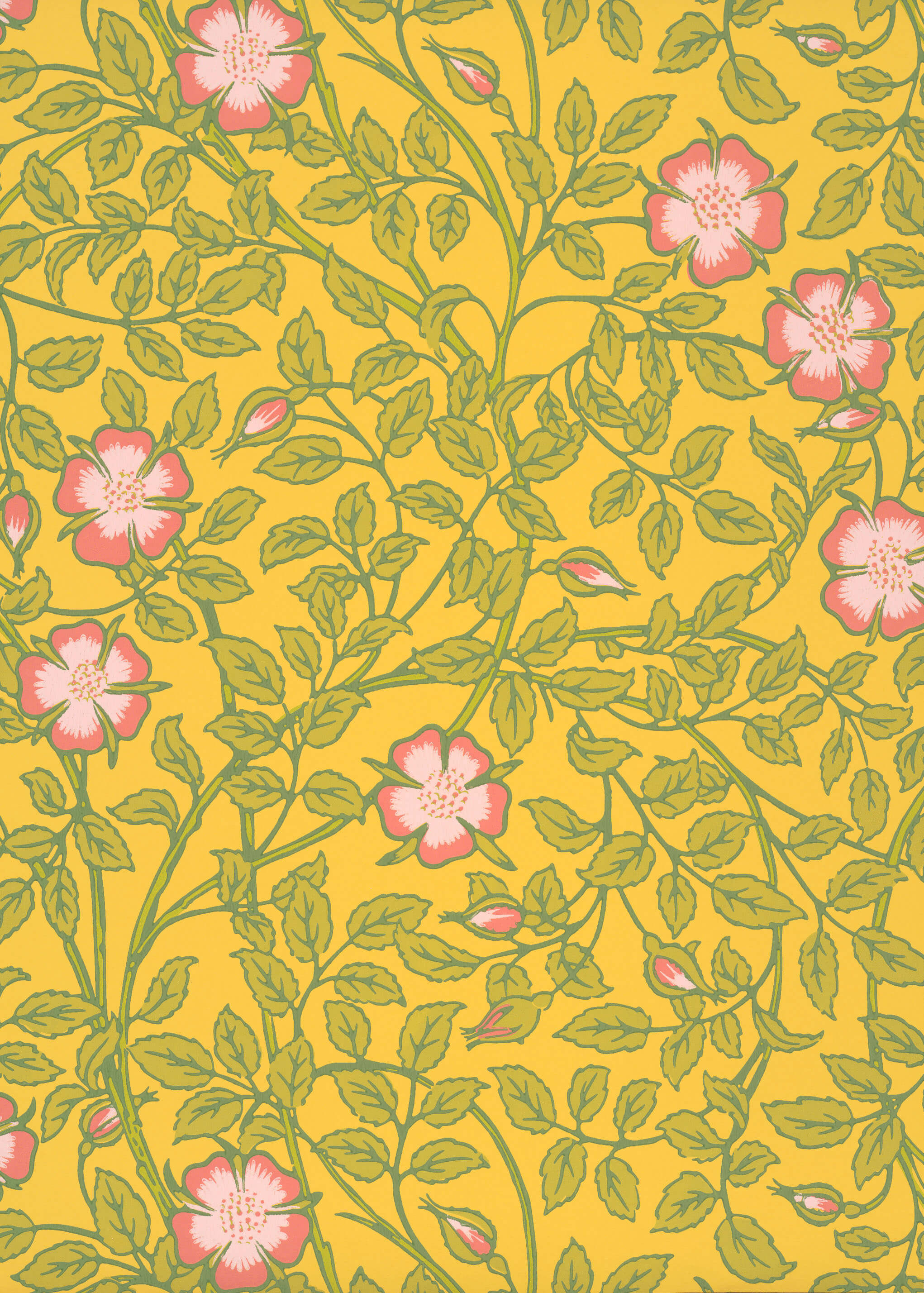 BRIAR ROSE
