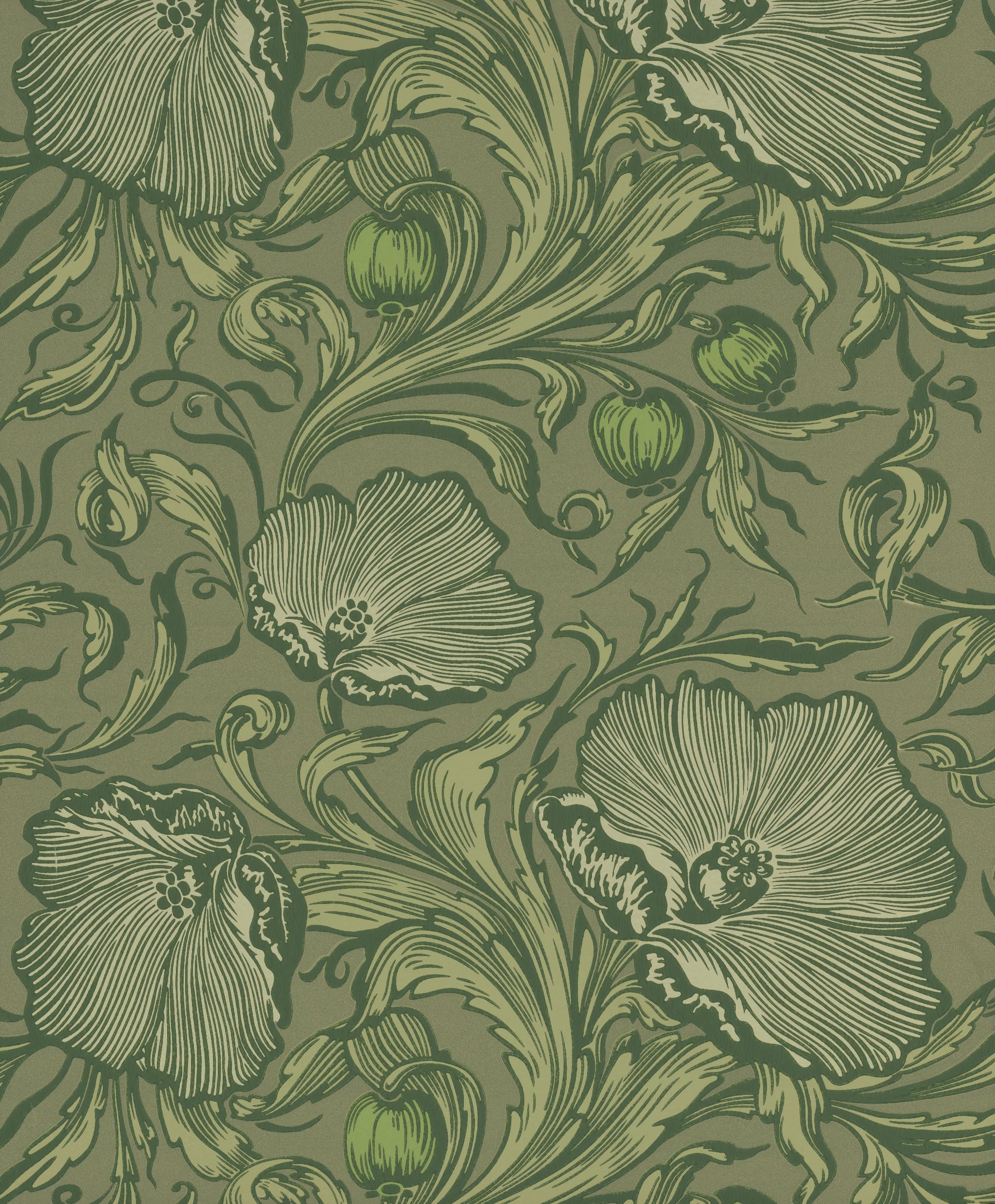 POPPY TRAIL