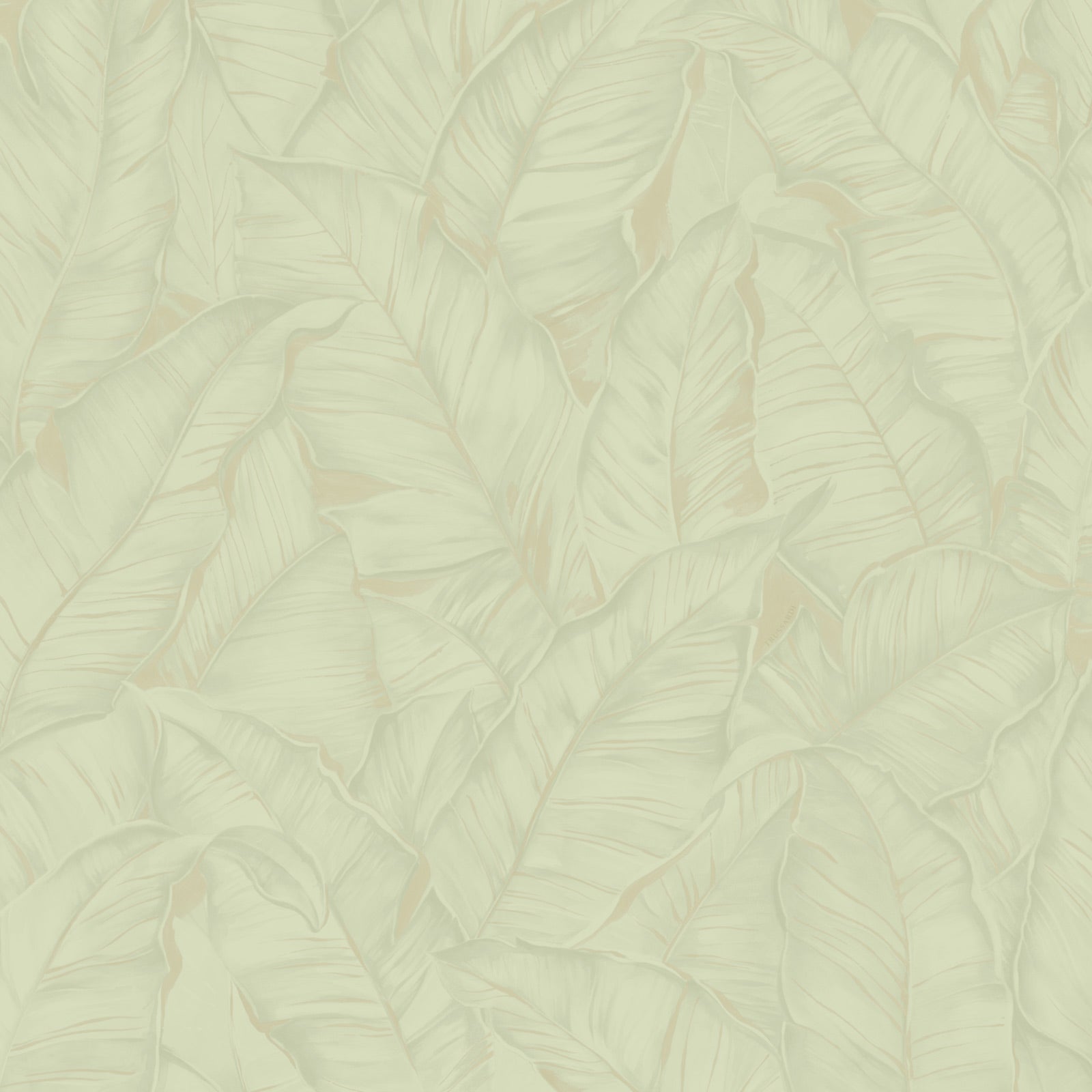TRUSSARDI EFFETTO TROPICALE