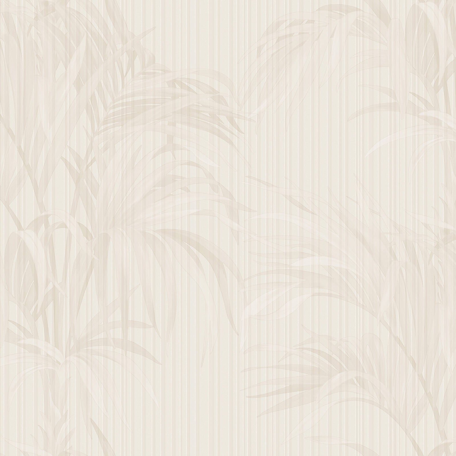 PHILIPP PLAIN EFFETTO TROPICALE