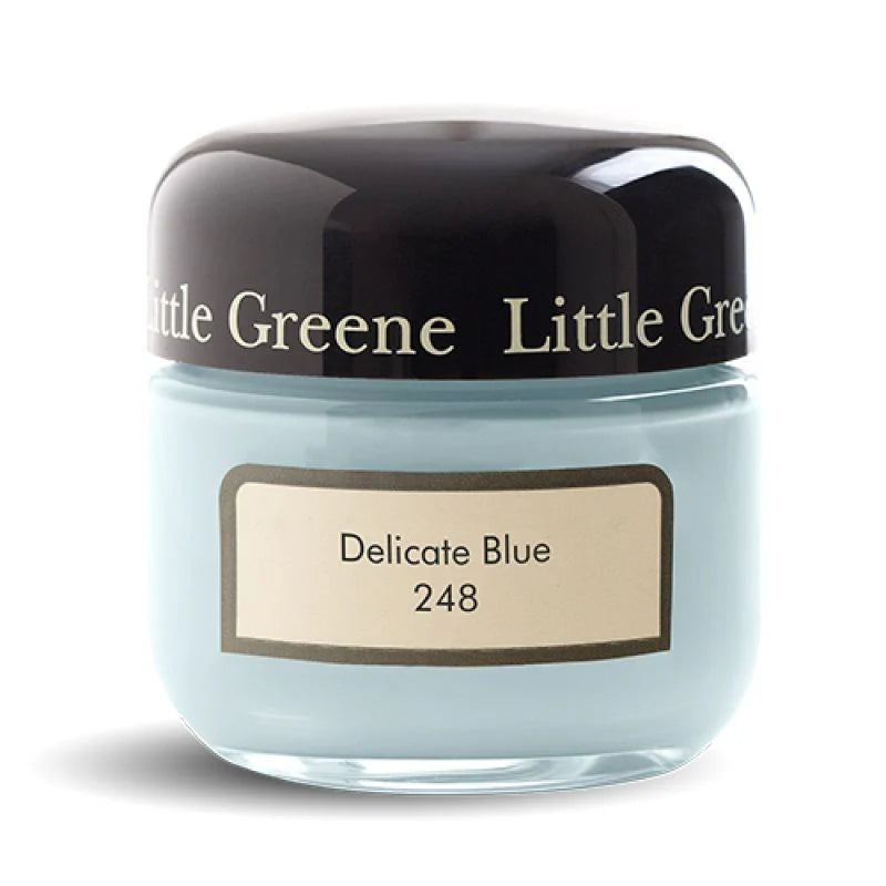 DELICATE BLUE N°248