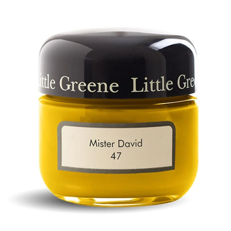 MISTER DAVID N°47
