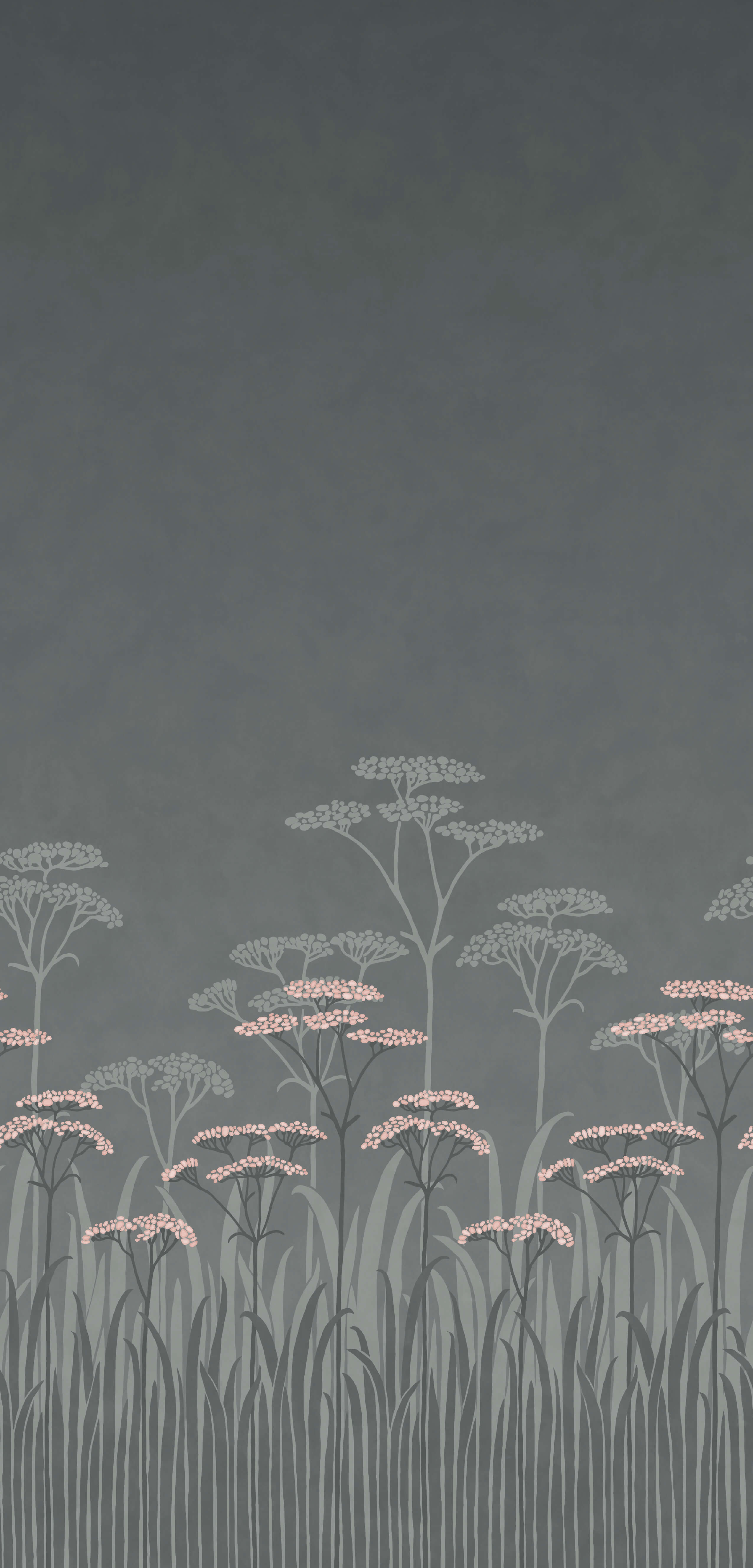 ACHILLEA
