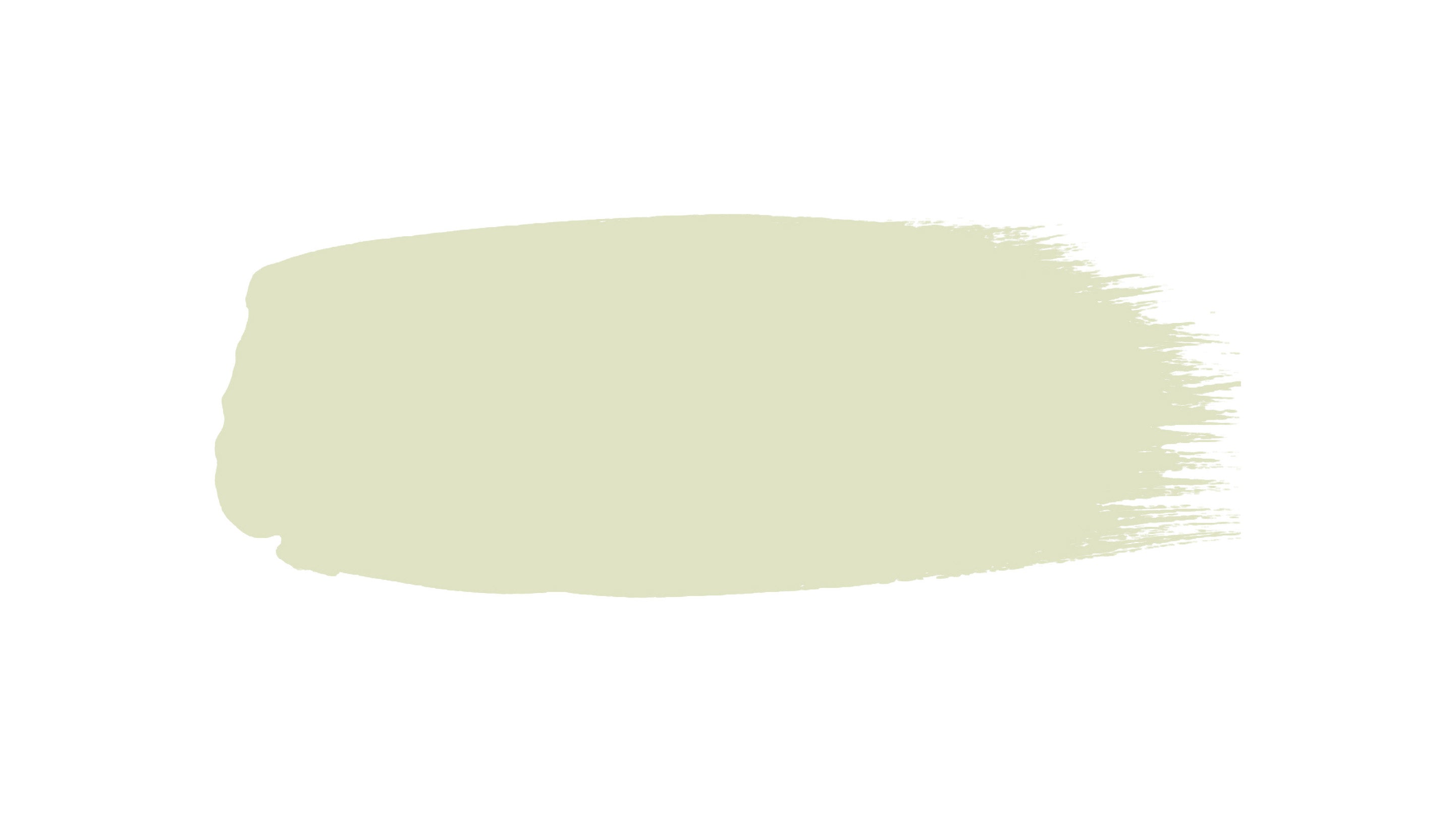 INTELLIGENT EGGSHELL ( 1L )