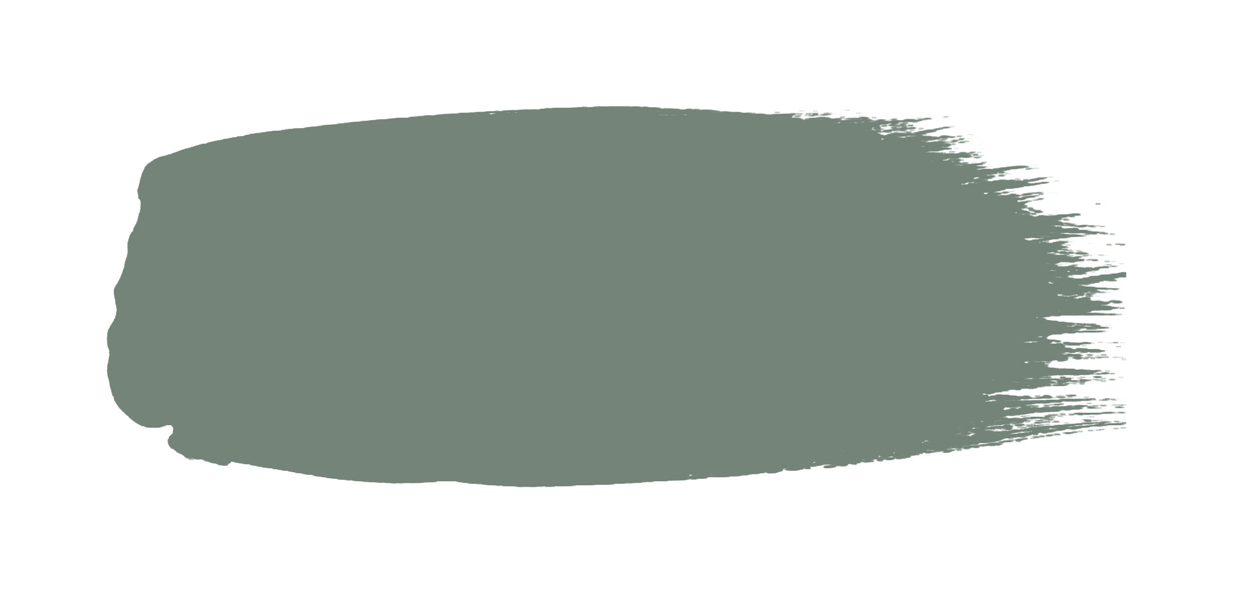 INTELLIGENT GLOSS ( 1L )