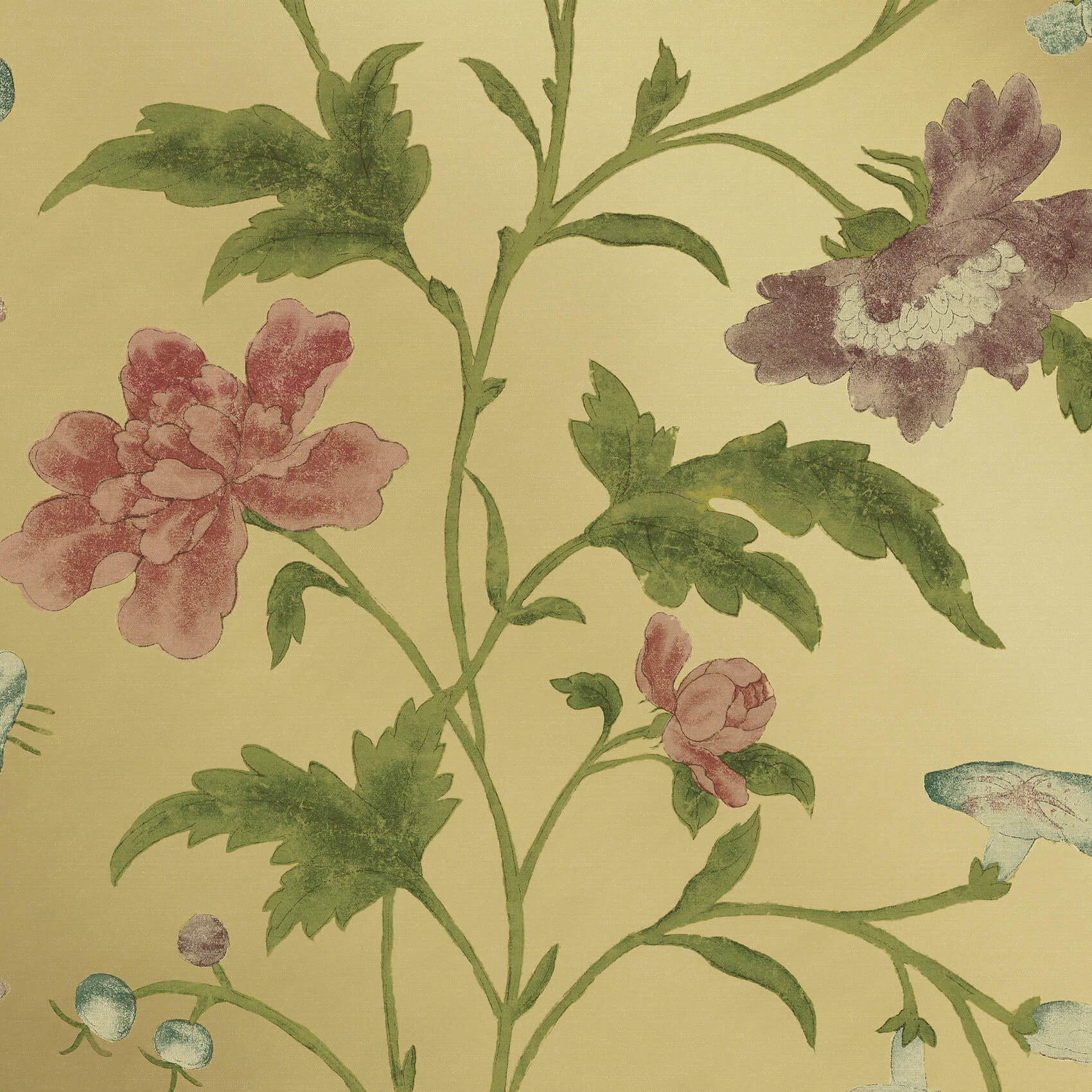 CHINA ROSE