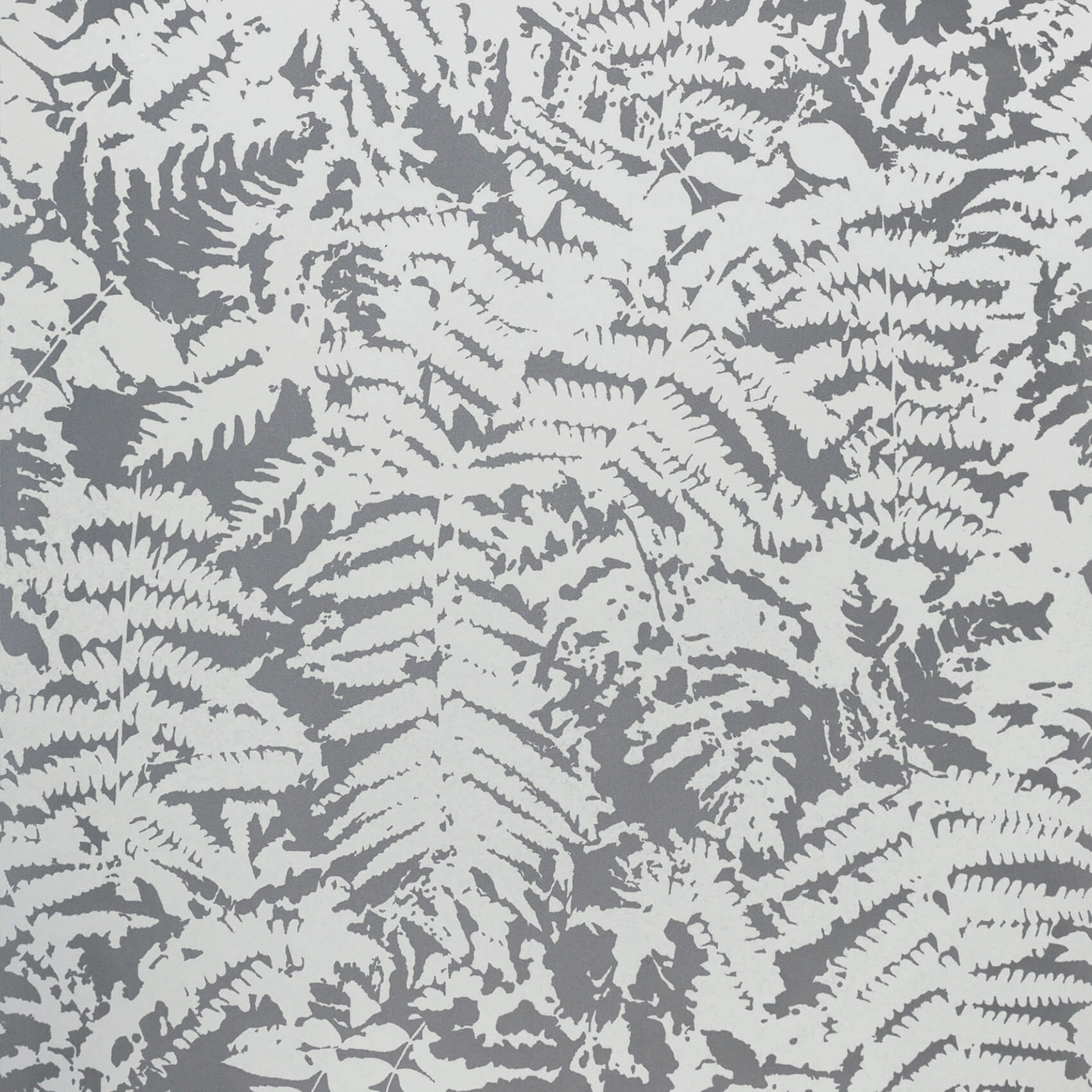 FERN