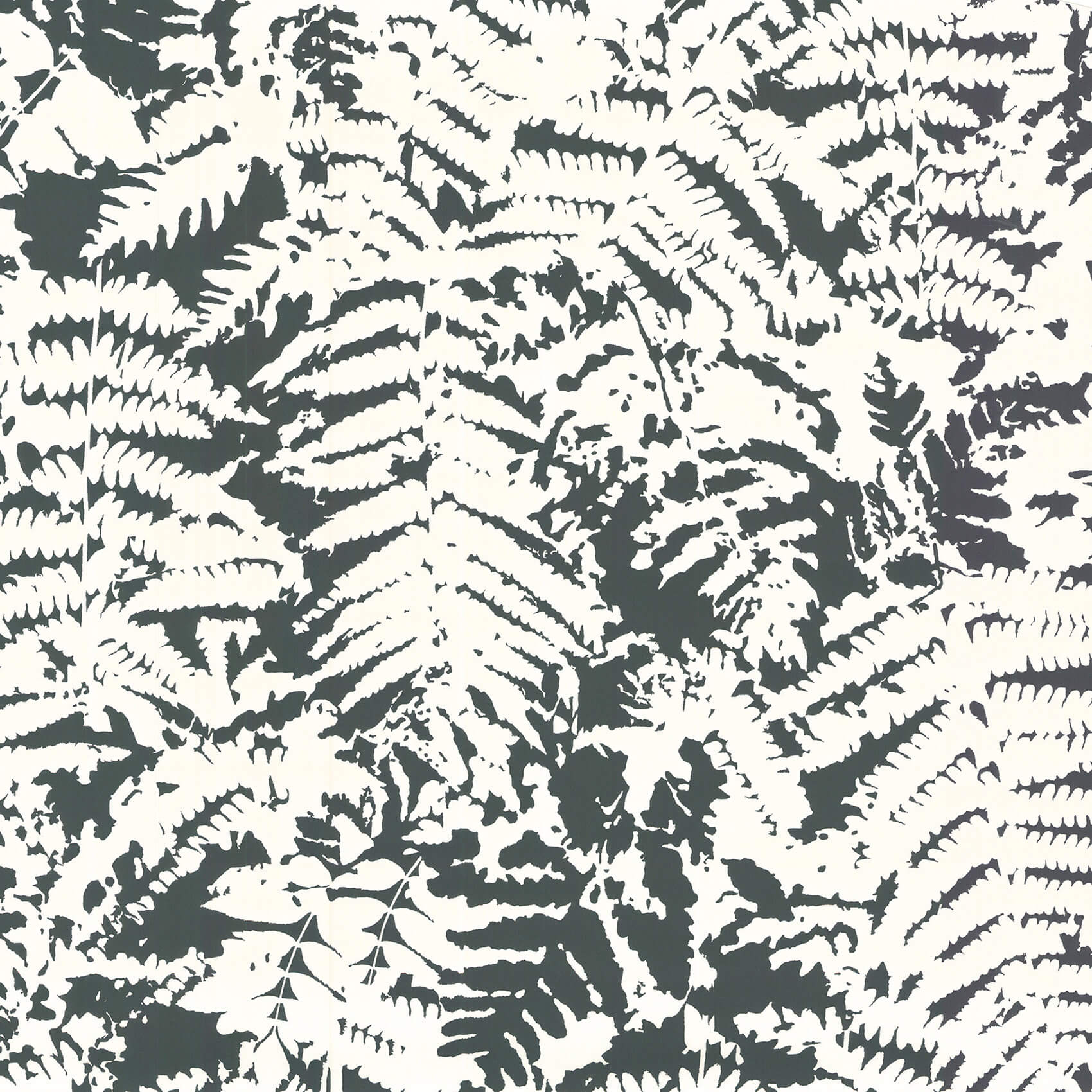 FERN