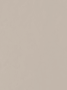 INFINITY ORO FINE 5L