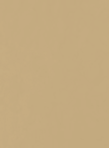 INFINITY ORO FINE 5L
