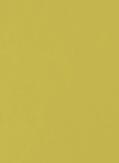 INFINITY ORO FINE 5L