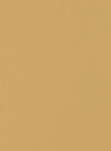 INFINITY ORO FINE 5L