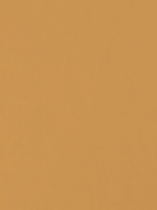 INFINITY ORO FINE 5L