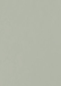 INFINITY ORO FINE 5L
