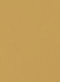 INFINITY ORO FINE 5L