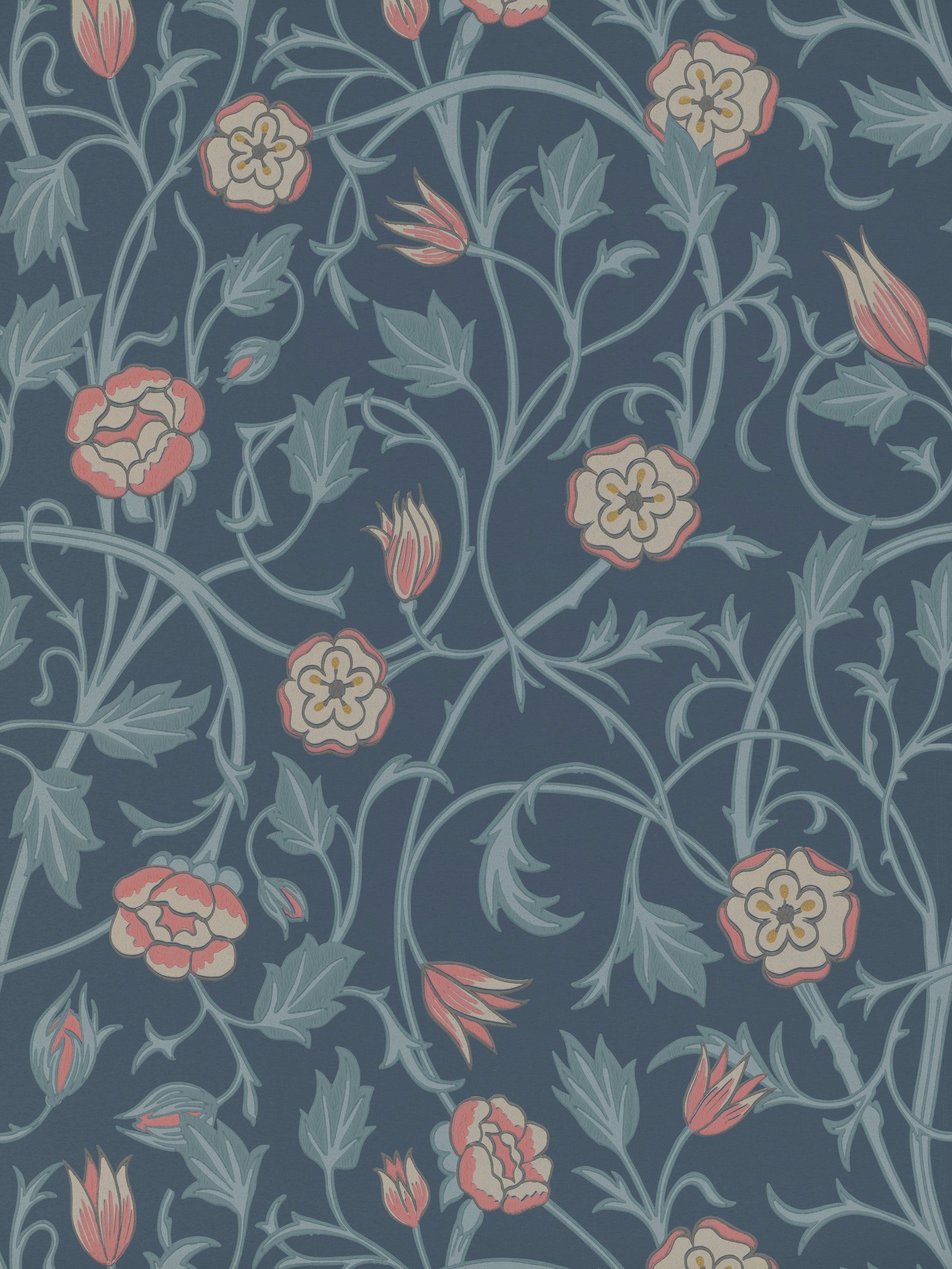 MAY'S TULIP