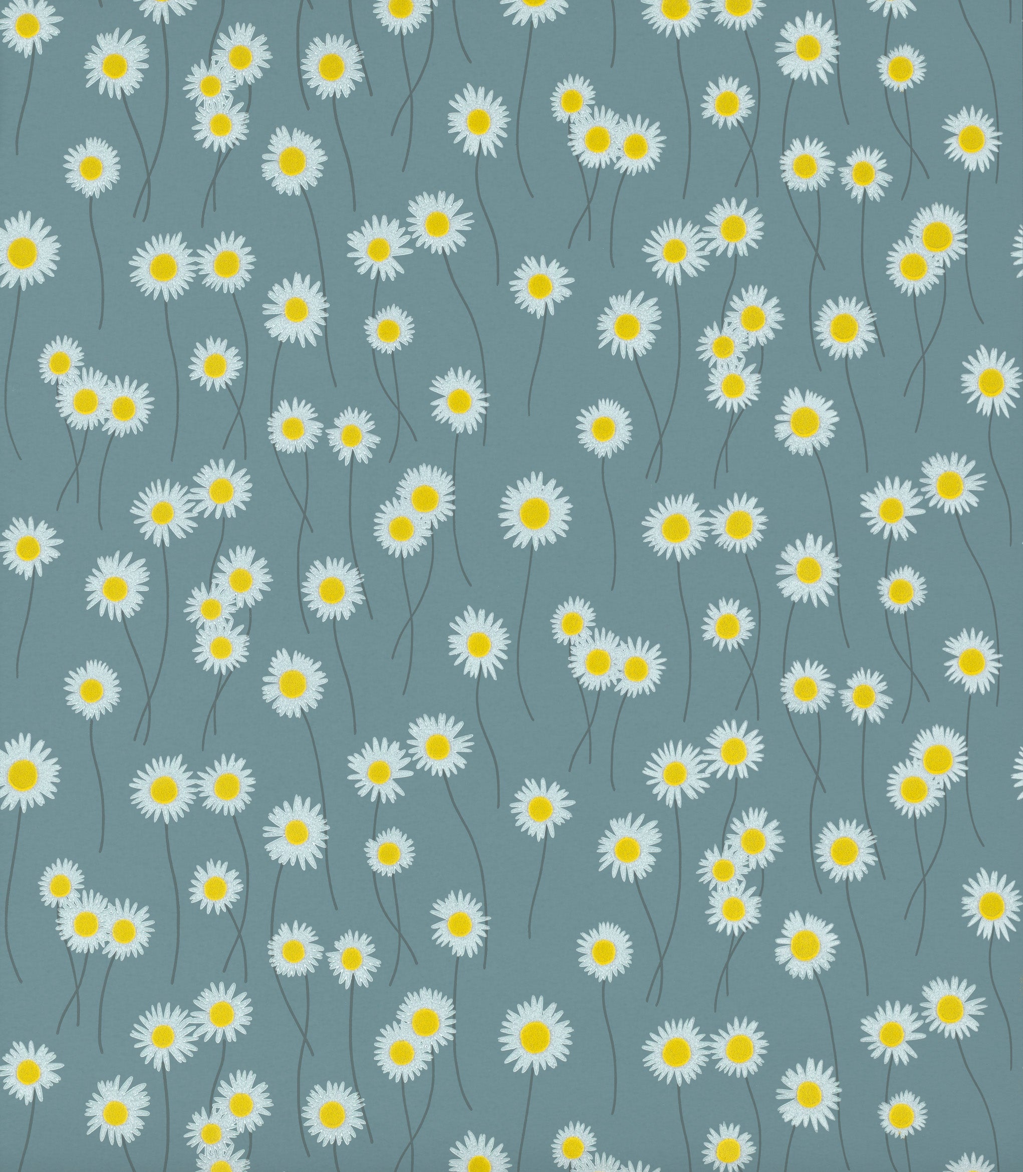 MOON DAISIES