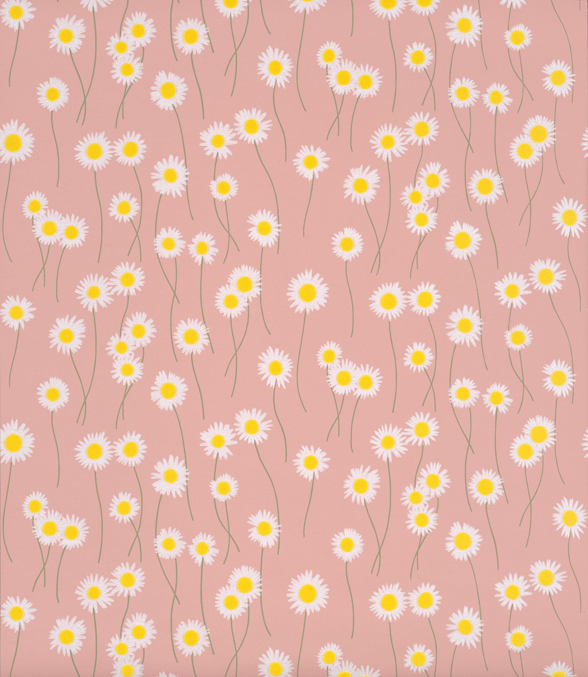 MOON DAISIES