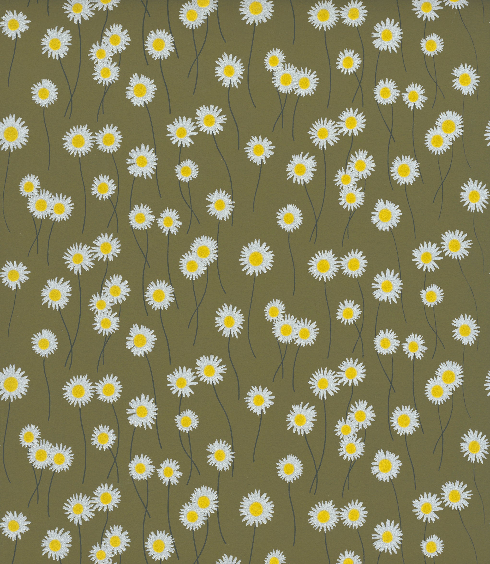MOON DAISIES