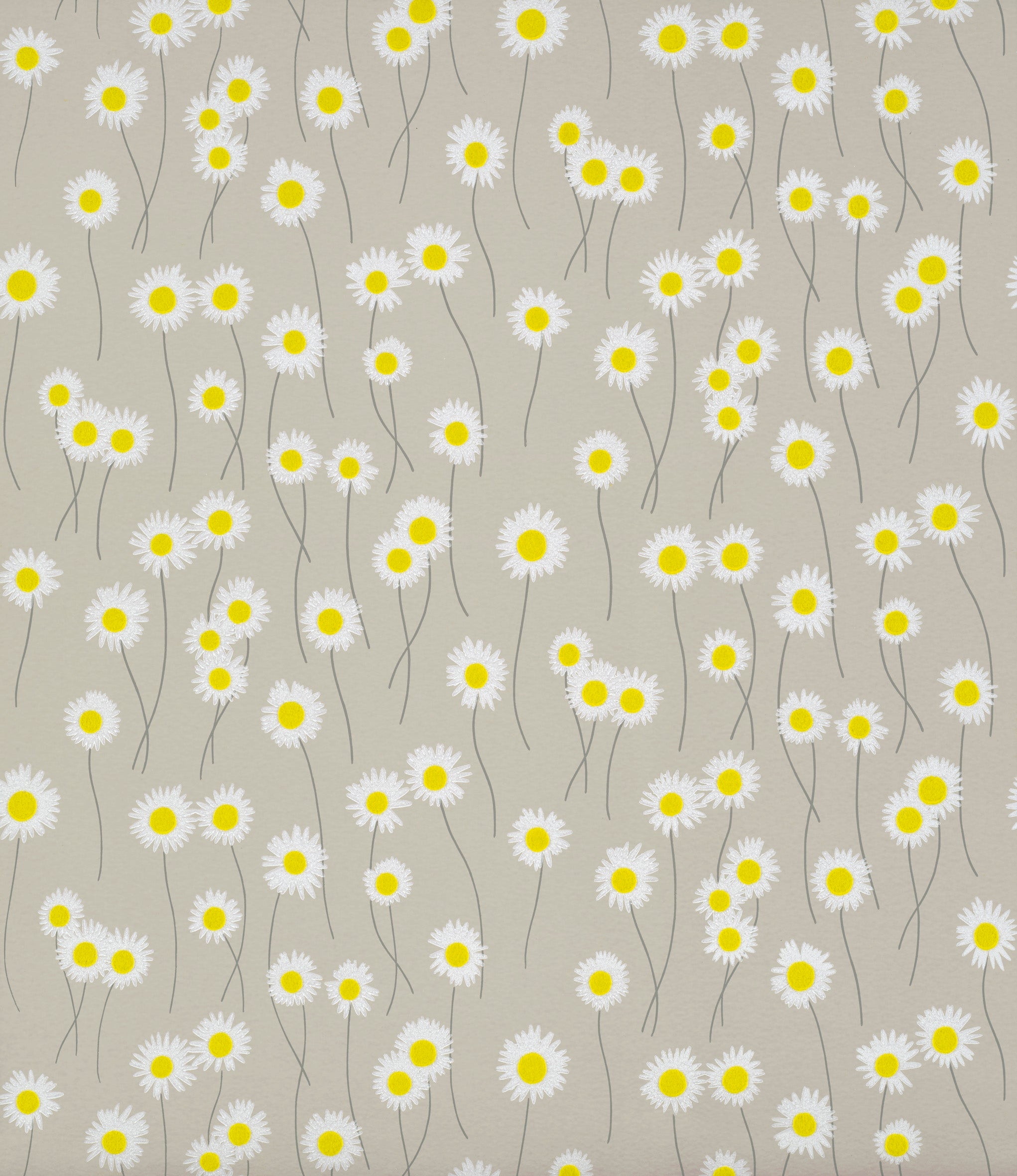 MOON DAISIES