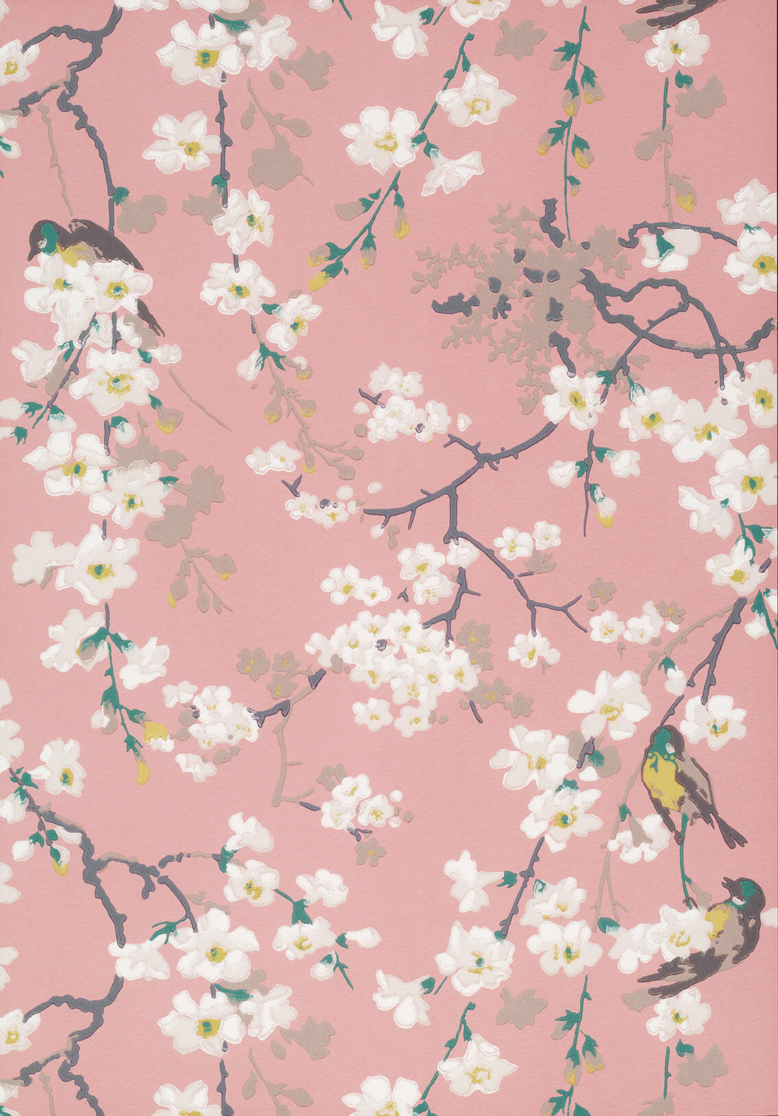 MASSINGBERD BLOSSOM