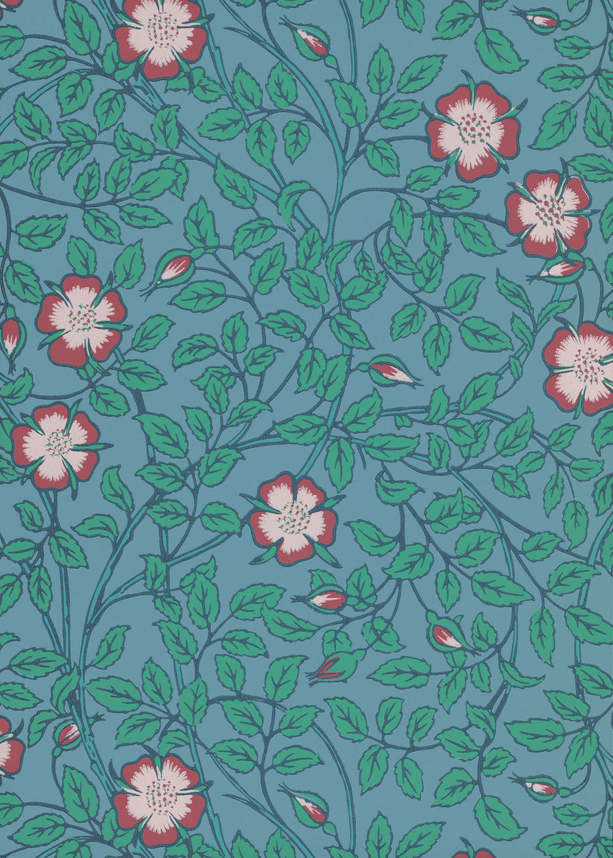 BRIAR ROSE