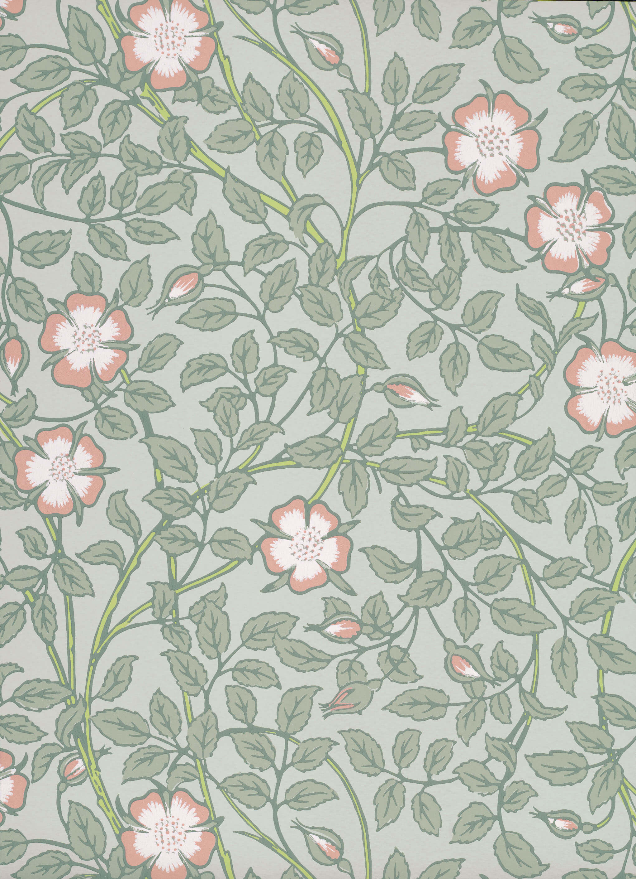 BRIAR ROSE