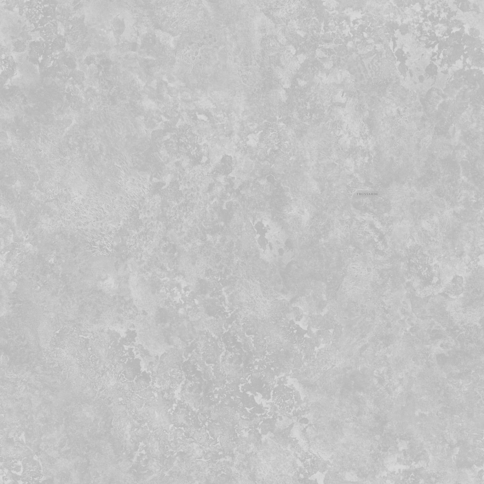 TRUSSARDI EFFETTO PIETRA