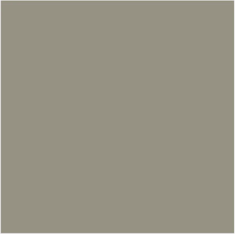 LEAD COLOUR N°117