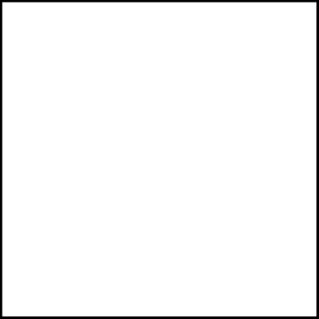 BIANCO SCUDO 14L