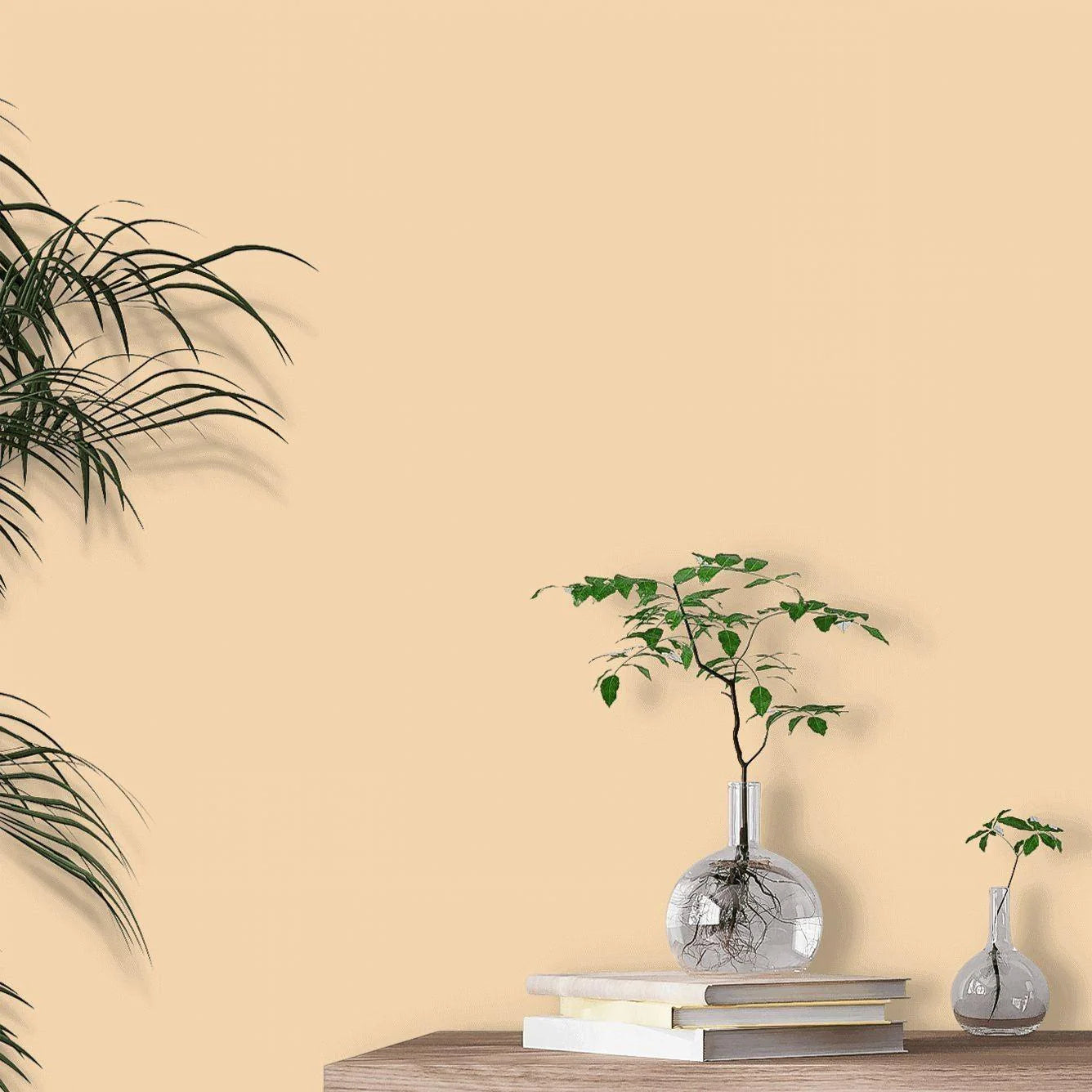 STONE - PALE- WARM N°34